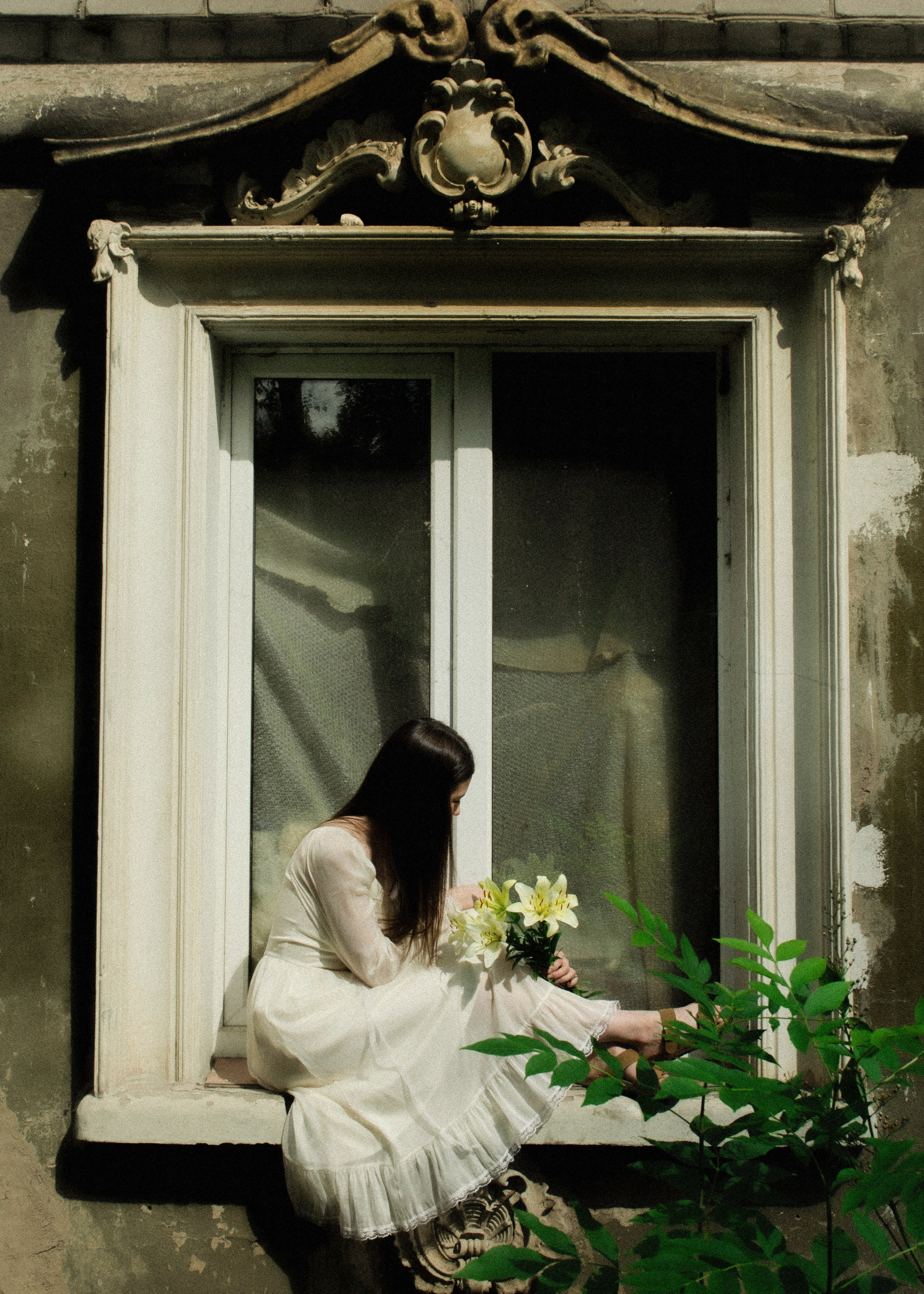 Цветы | Амалия