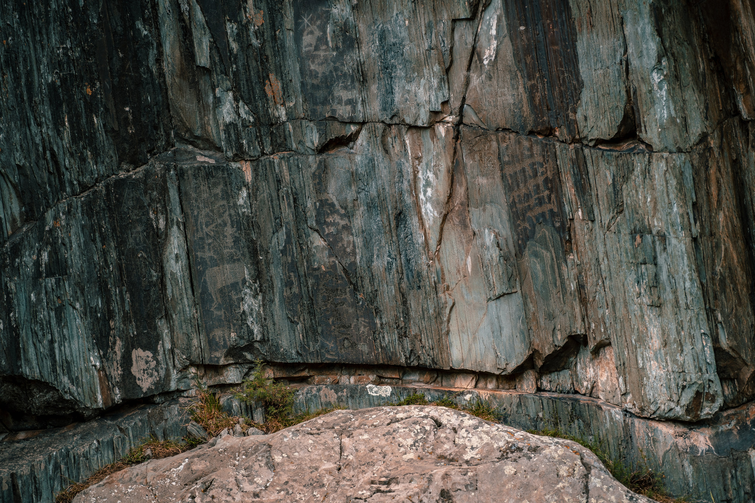 Алтай. Оператор и Фотограф в Санкт-Петербурге и Москве