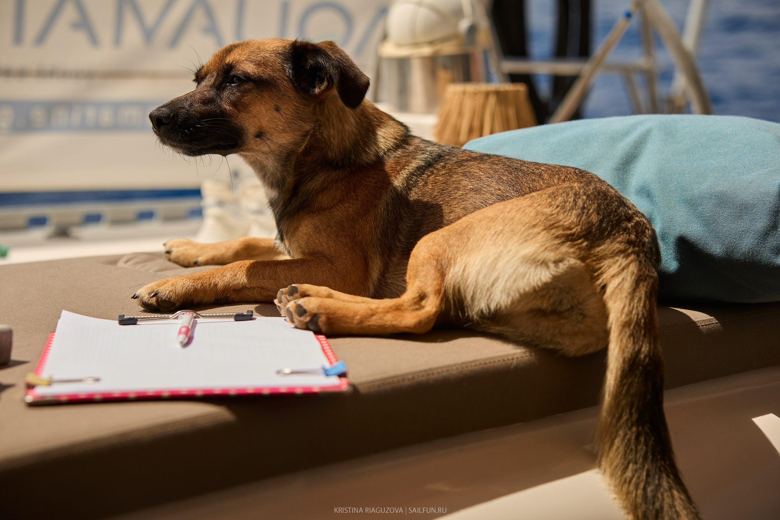 Фотограф на регату в Турции. Репортажный и портретный фотограф в Санкт-Петербурге Кристина Рягузова