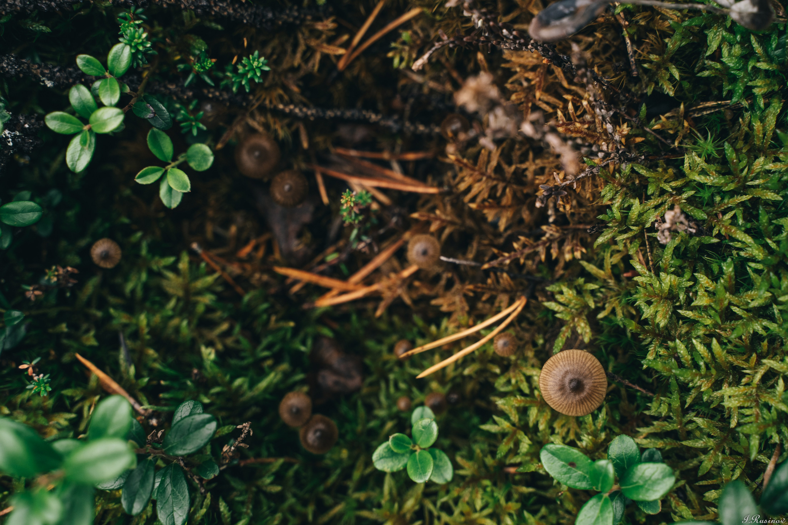 ХИБИНЫ 2021 г. Event фотограф Степанова Александра