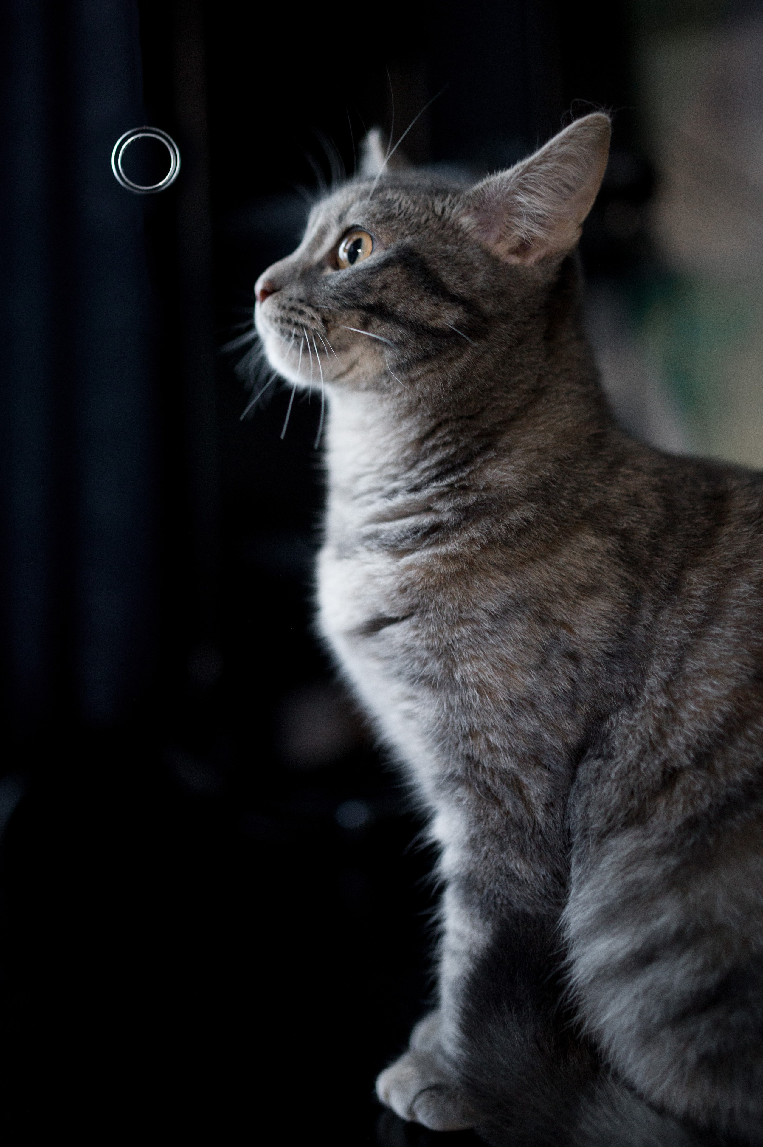 Дмитрий и Ирина. Фотограф Зырянова Яна, Снежинск, Екатеринбург, Челябинск