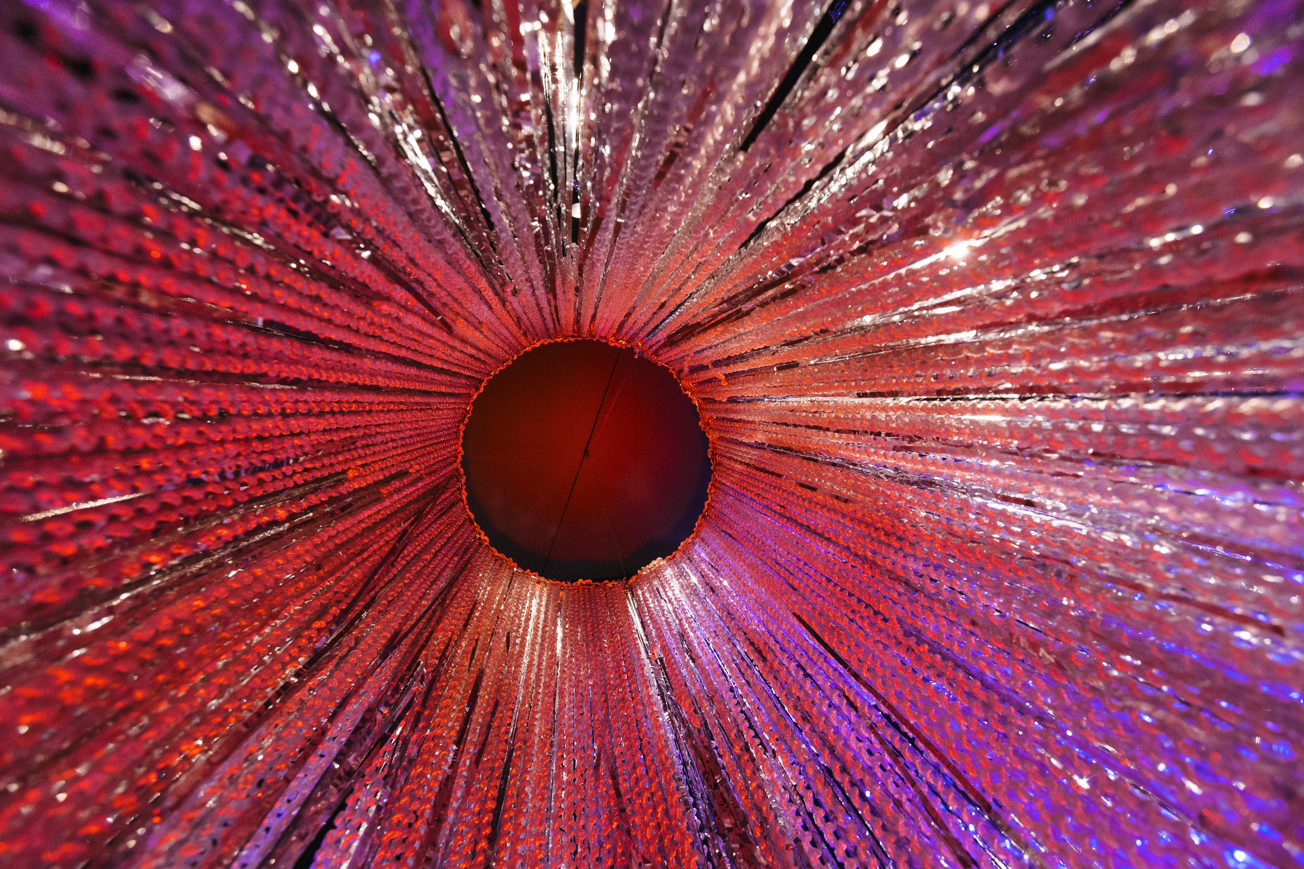 ROMAN RAKUSA BIRTHDAY BASH. СВОИ. ФОТООТЧЕТЫ-СОБЫТИЯ-МЕСТА