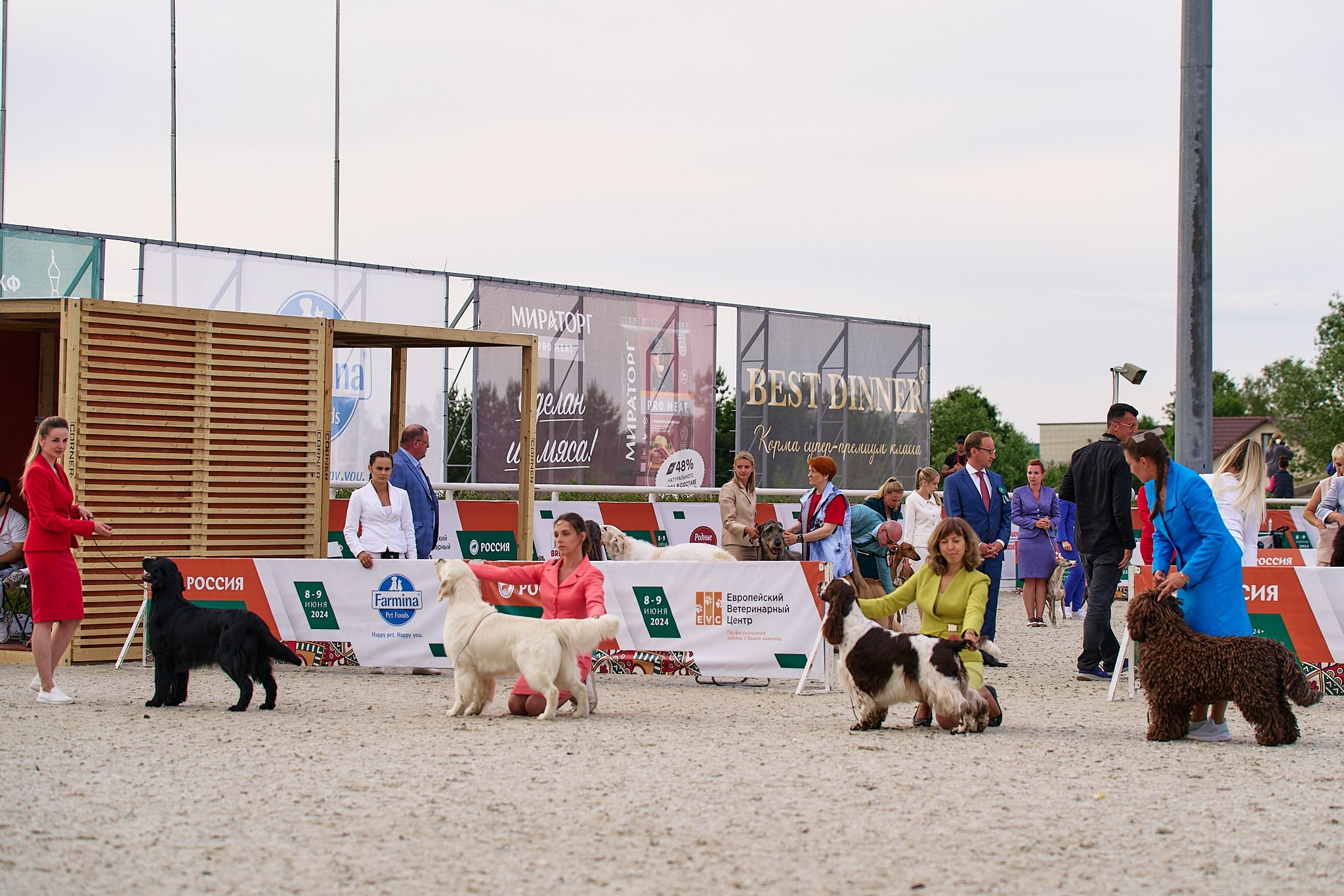 09.06.2024, «РОССИЯ. КУБОК МОСКВЫ 2024 & КУБОК ГОРОДОВ-ГЕРОЕВ»