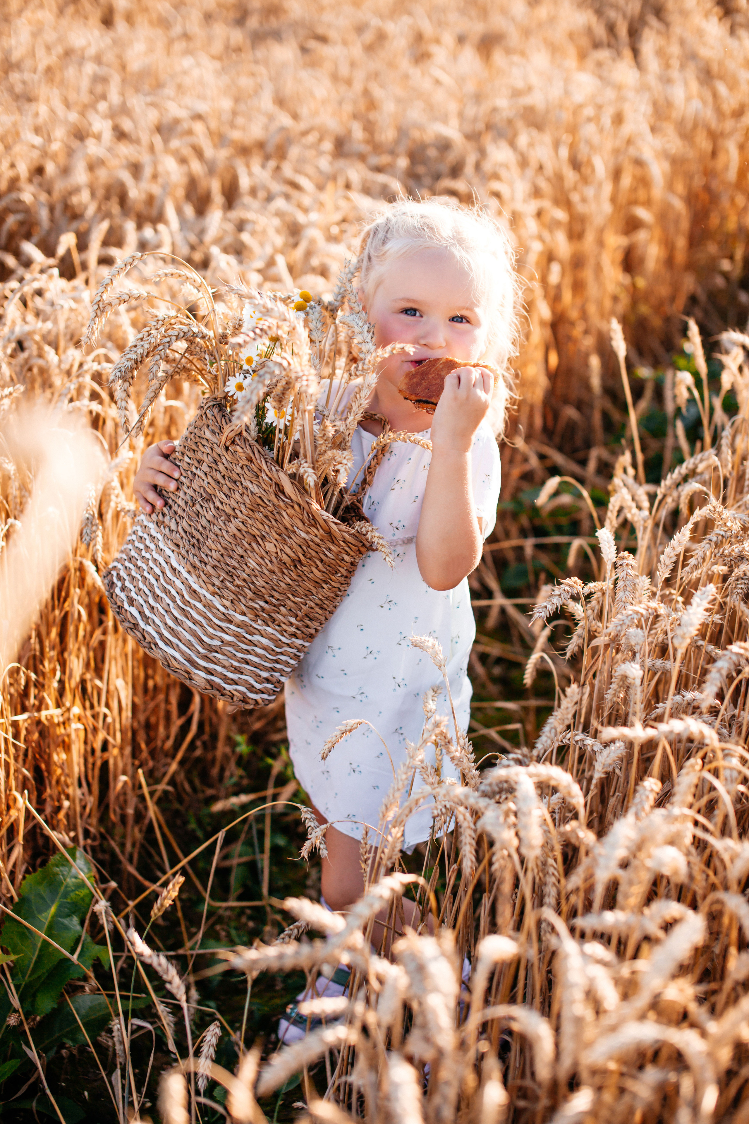 Пшеничное. Свадебный и семейный фотограф Витебск