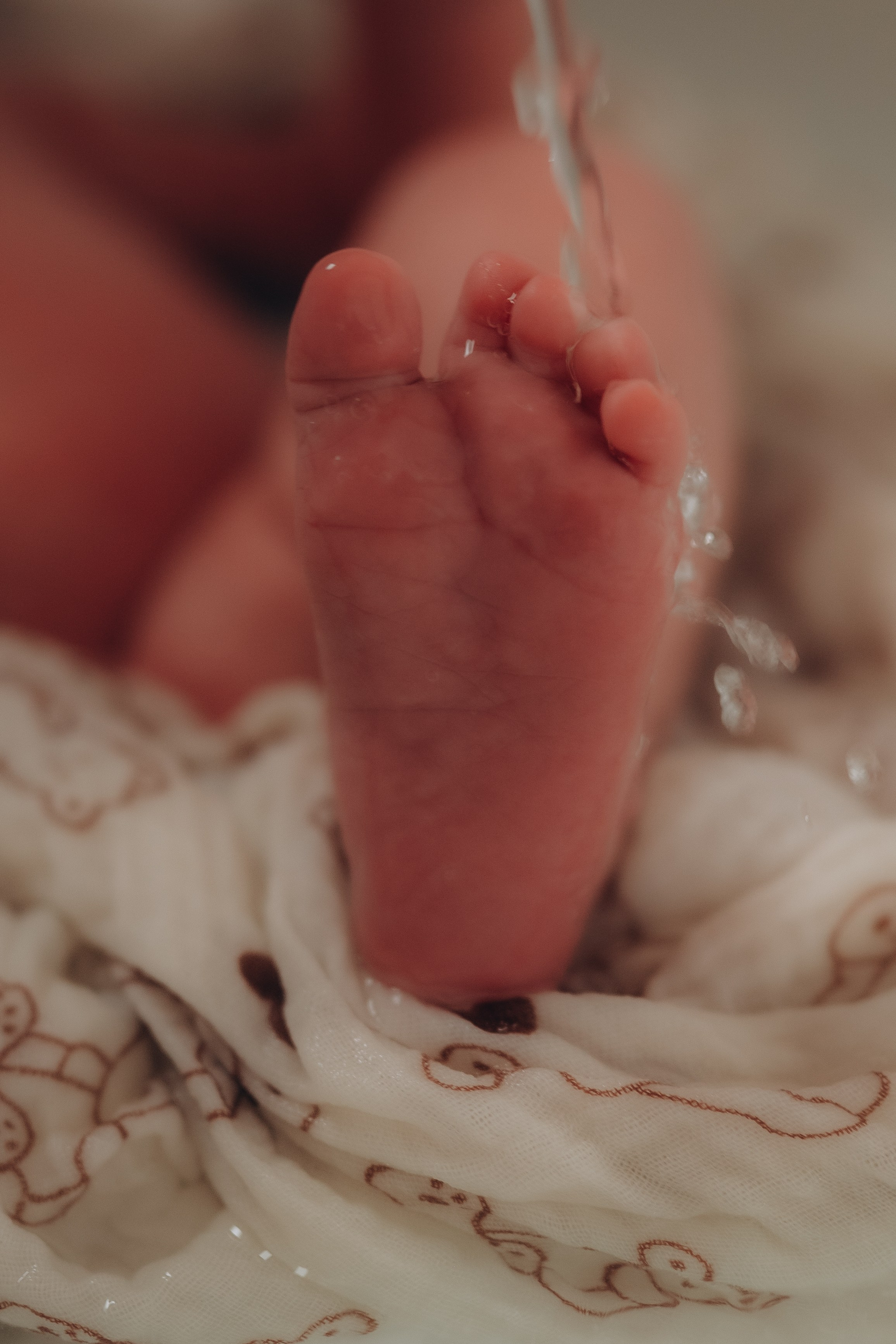 Аня и Артур. Семейный фотограф в Москве Дарья Пузикова