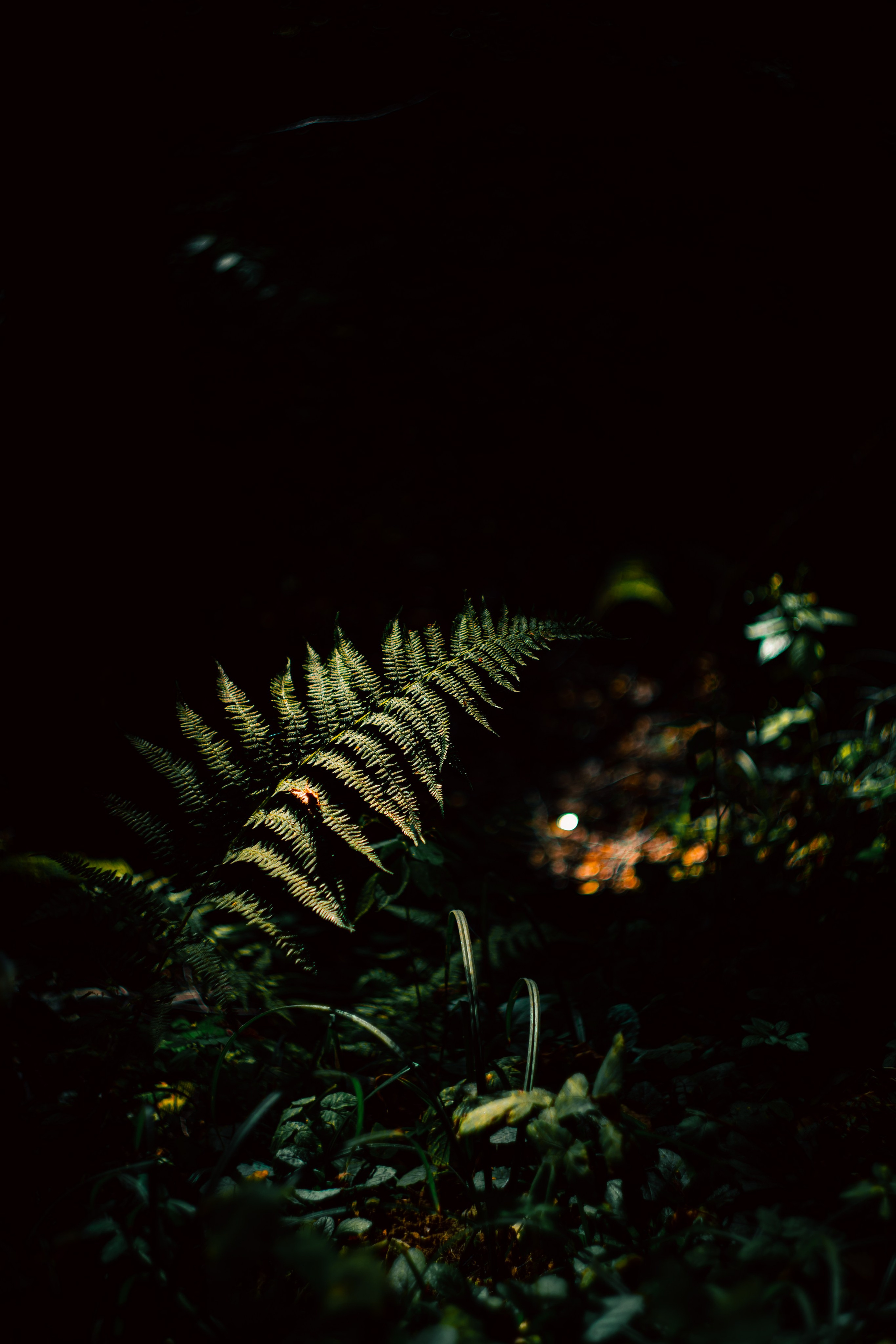 Сентябрь 2024. Efremovaphoto.ru