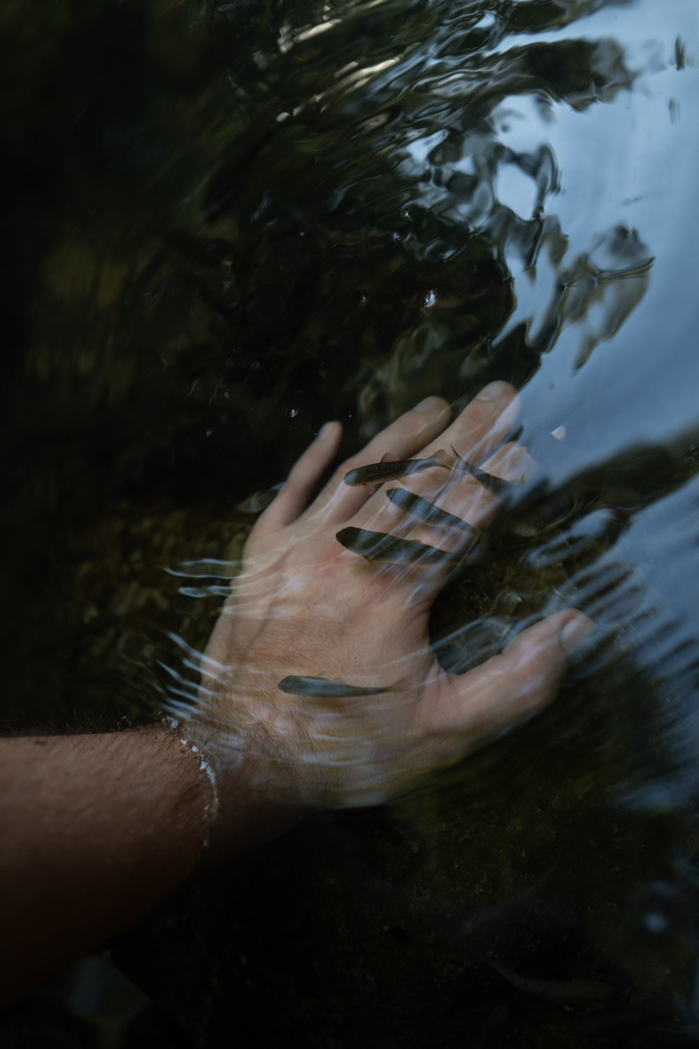 AUTHENTIC FILM. Visual artist Daniil Kontorovich