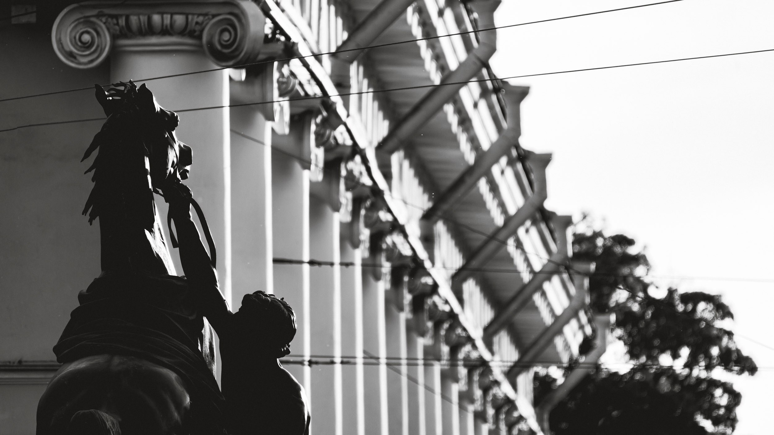 Saint Petersburg. The Andris