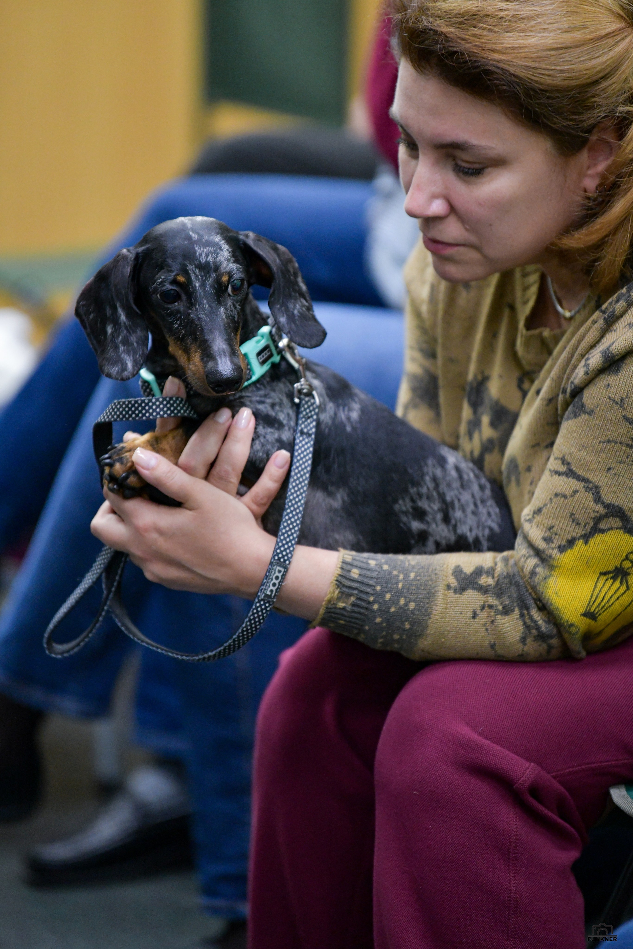 Кинологический клуб «Бодрый хвост». Свой взгляд через объектив