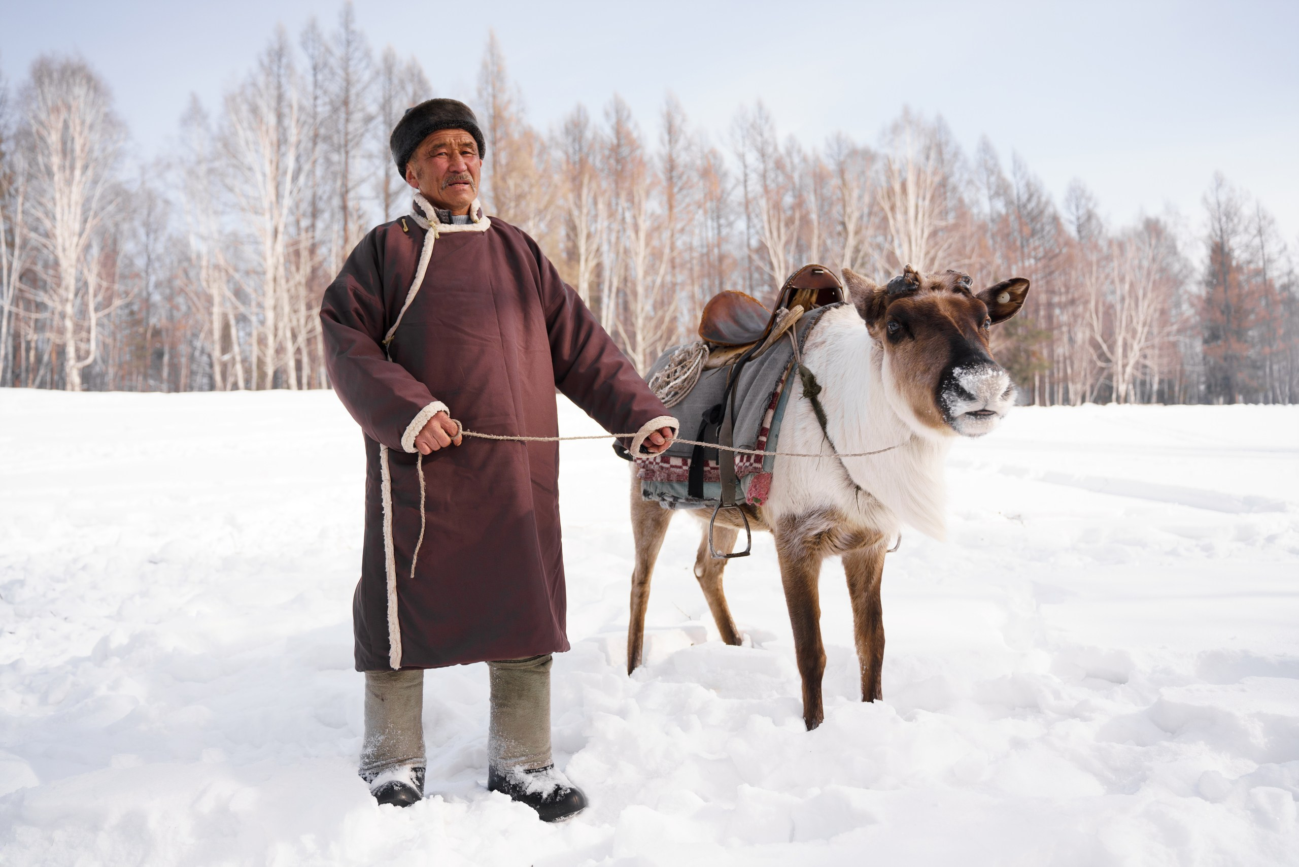 В олене жизнь. Фотограф в Красноярске Нерозя Александр. Пейзаж, природа, портрет