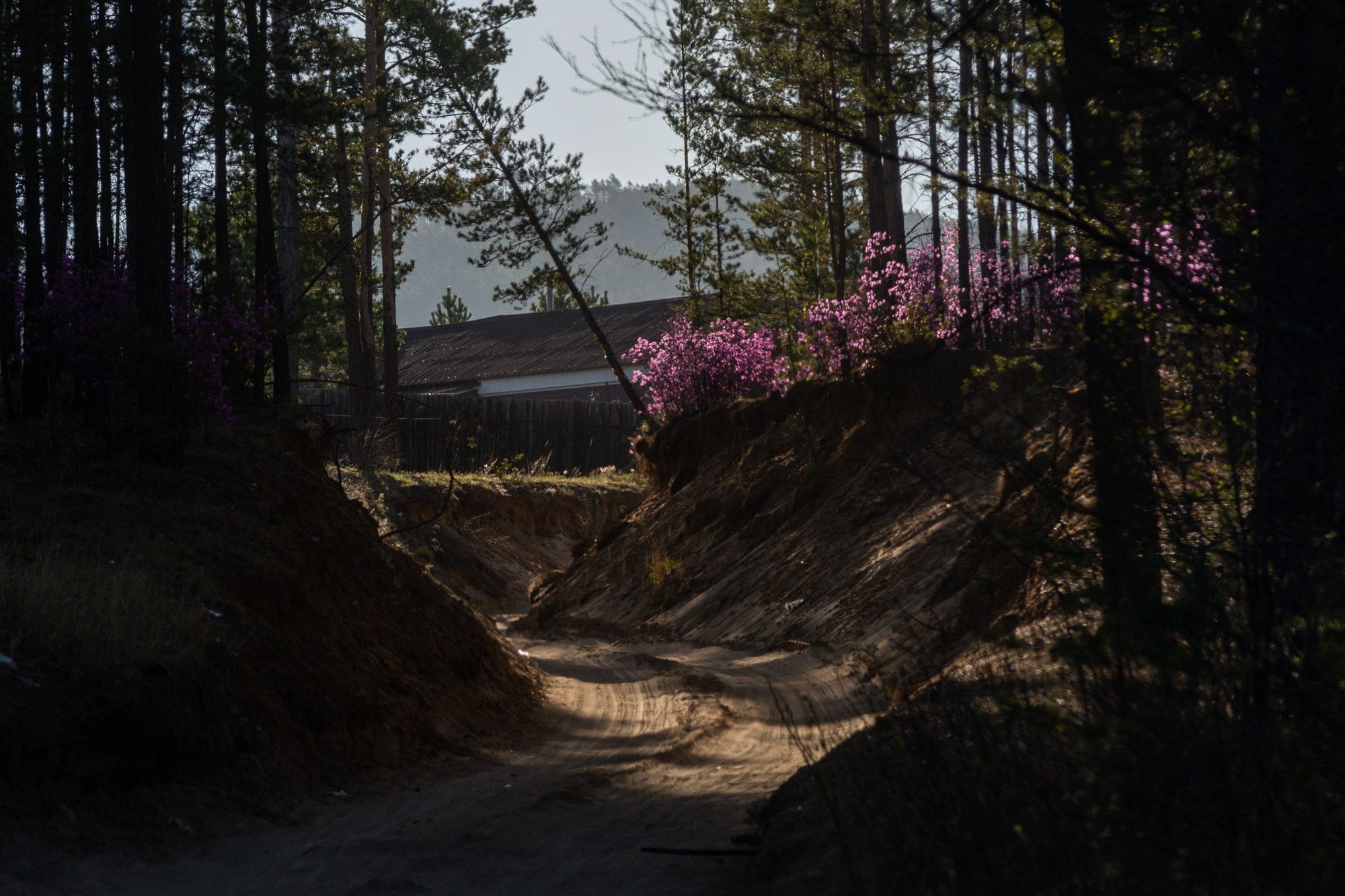 Разное. Репортажный фотограф г. Чита