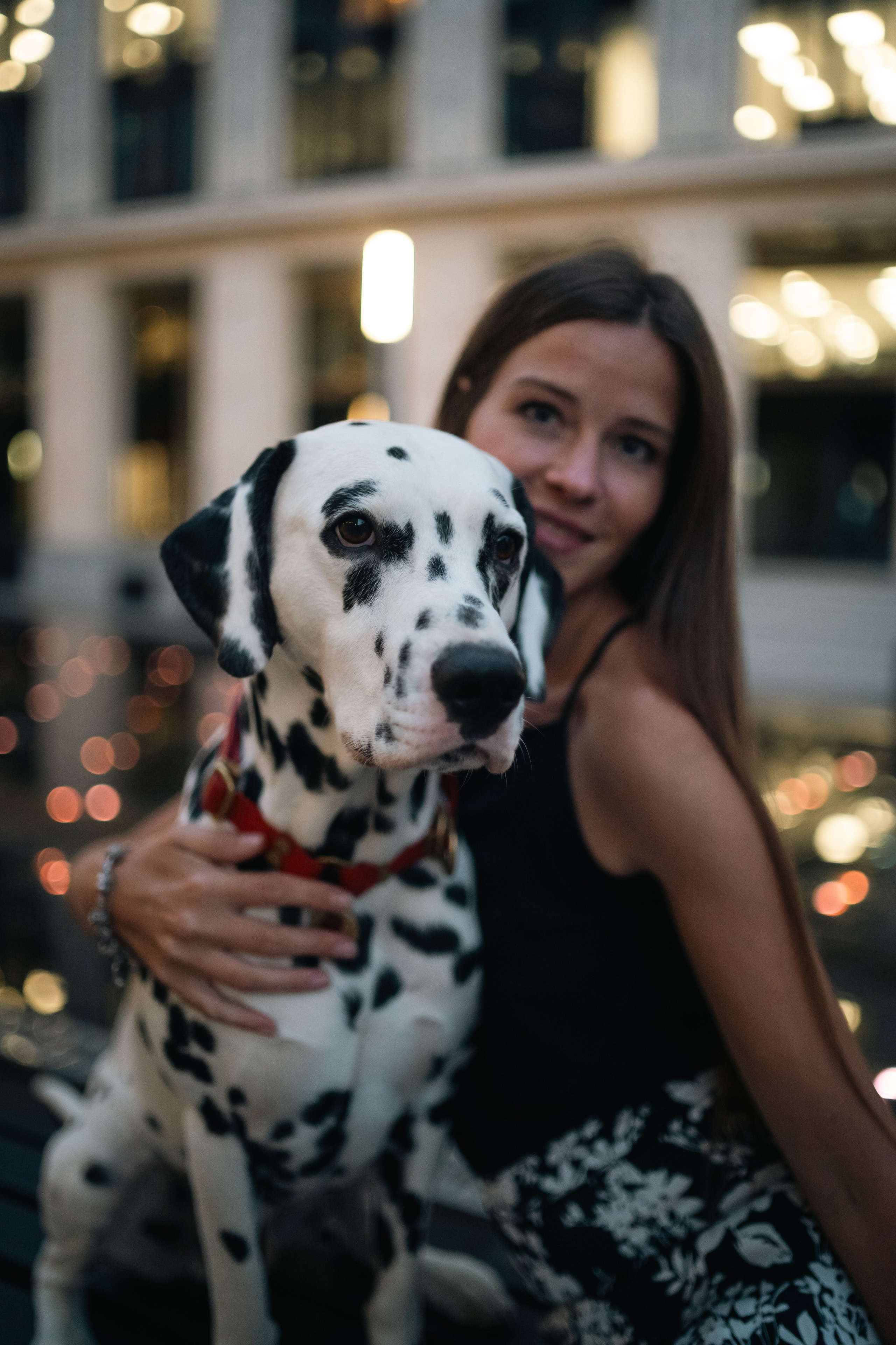 1 Далматин. Фотограф анималист