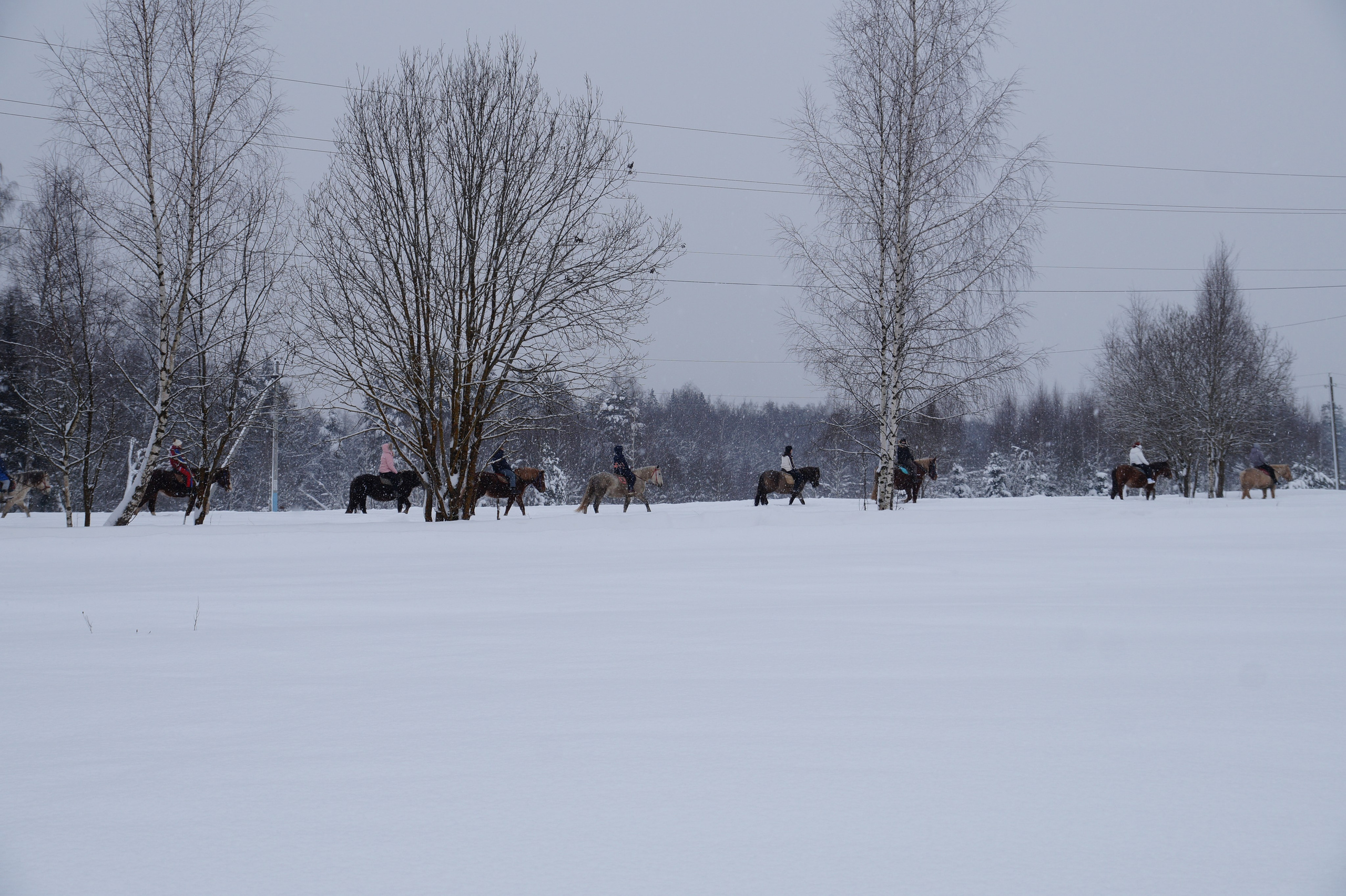 Лошадинг | 11.01.2026. Галерея Фантим