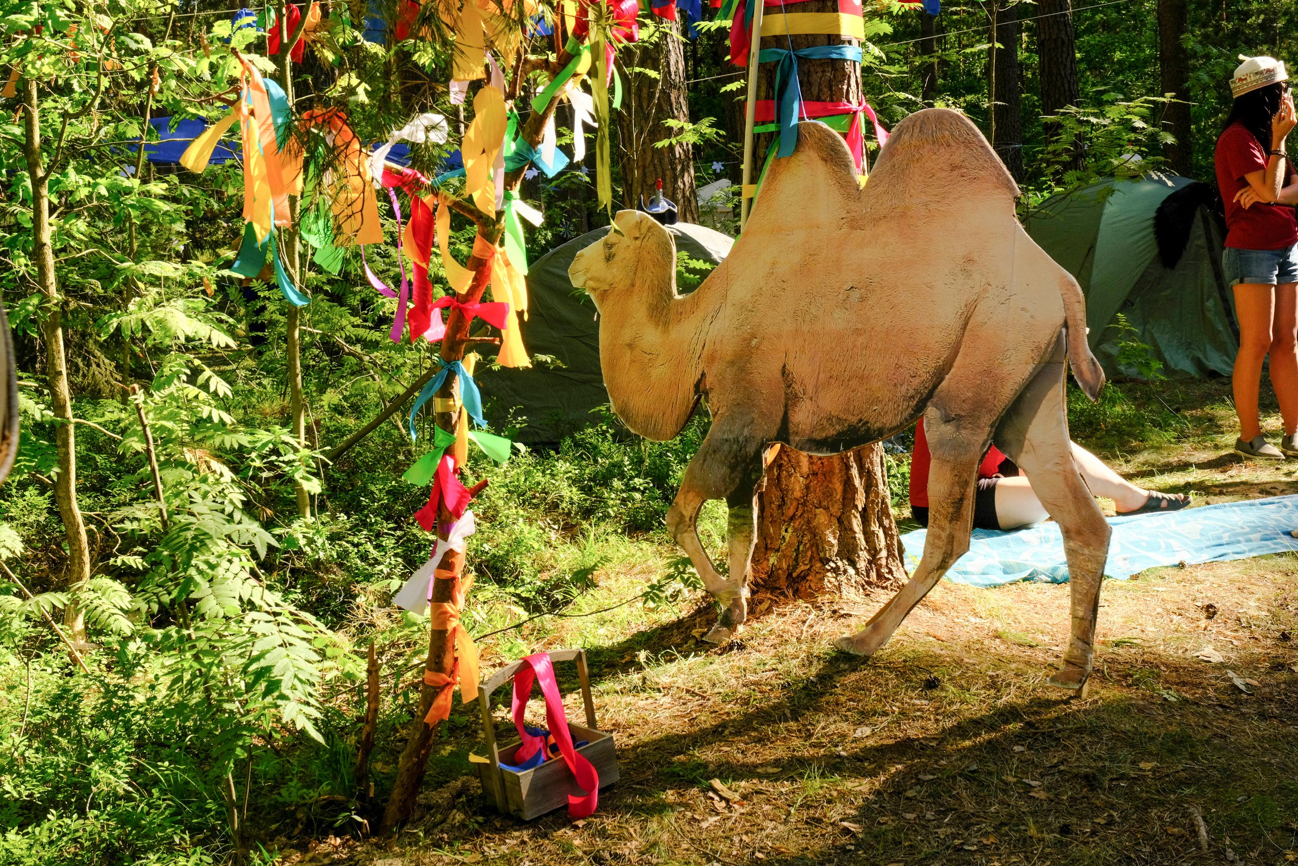 Корпоративный турпоход 500 чел. Территория M.I.C.E. Территория EVENT. Организация мероприятий