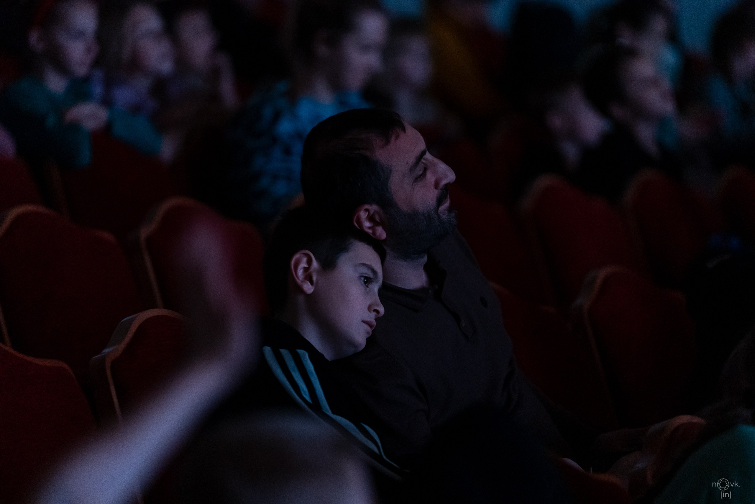 Ёлка. ФОТОГРАФ ИВАН НОВИКОВ | СТАВРОПОЛЬ