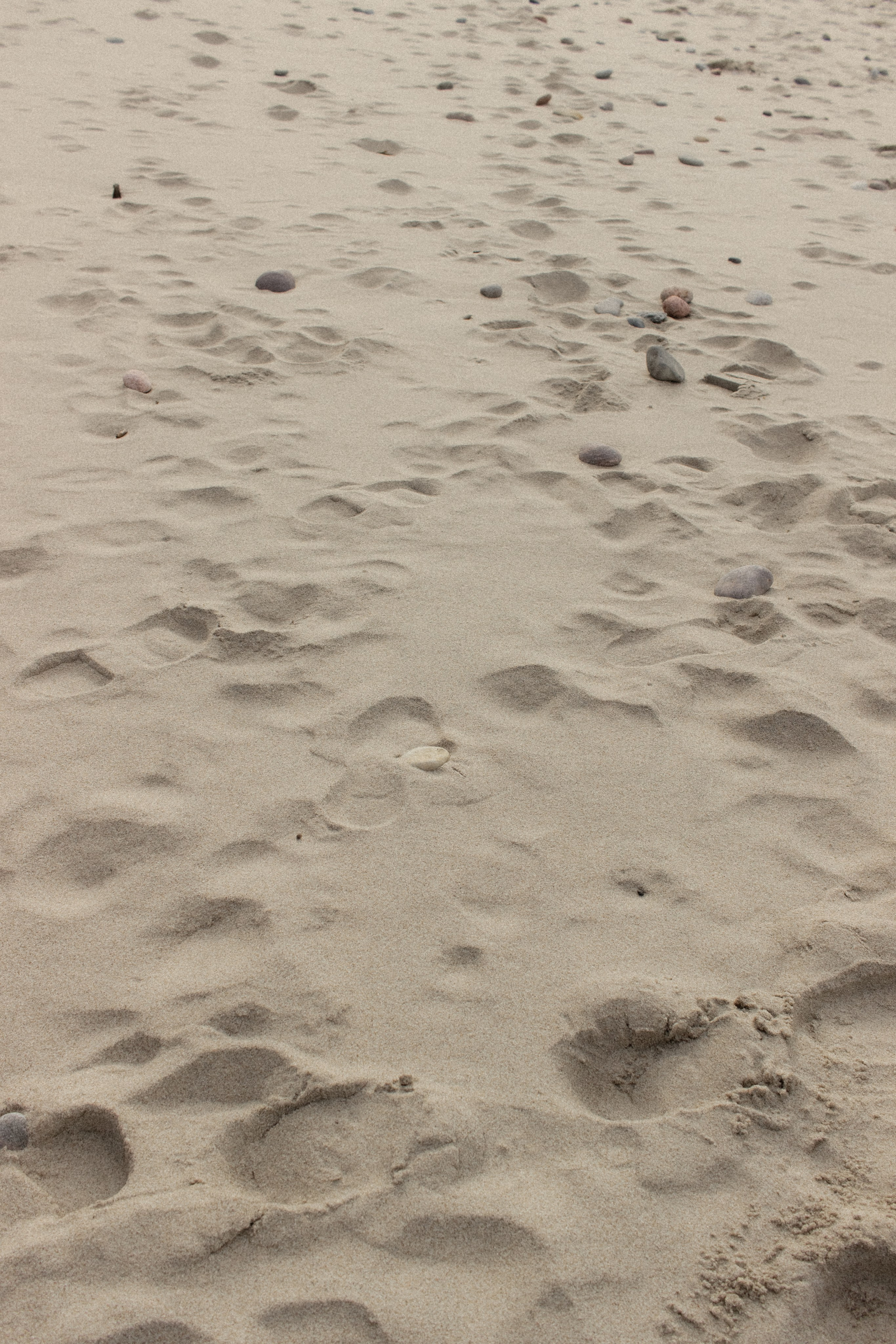 Фотосессия на Балтийском море. Портретный фотограф в Калининграде Рита Холодова