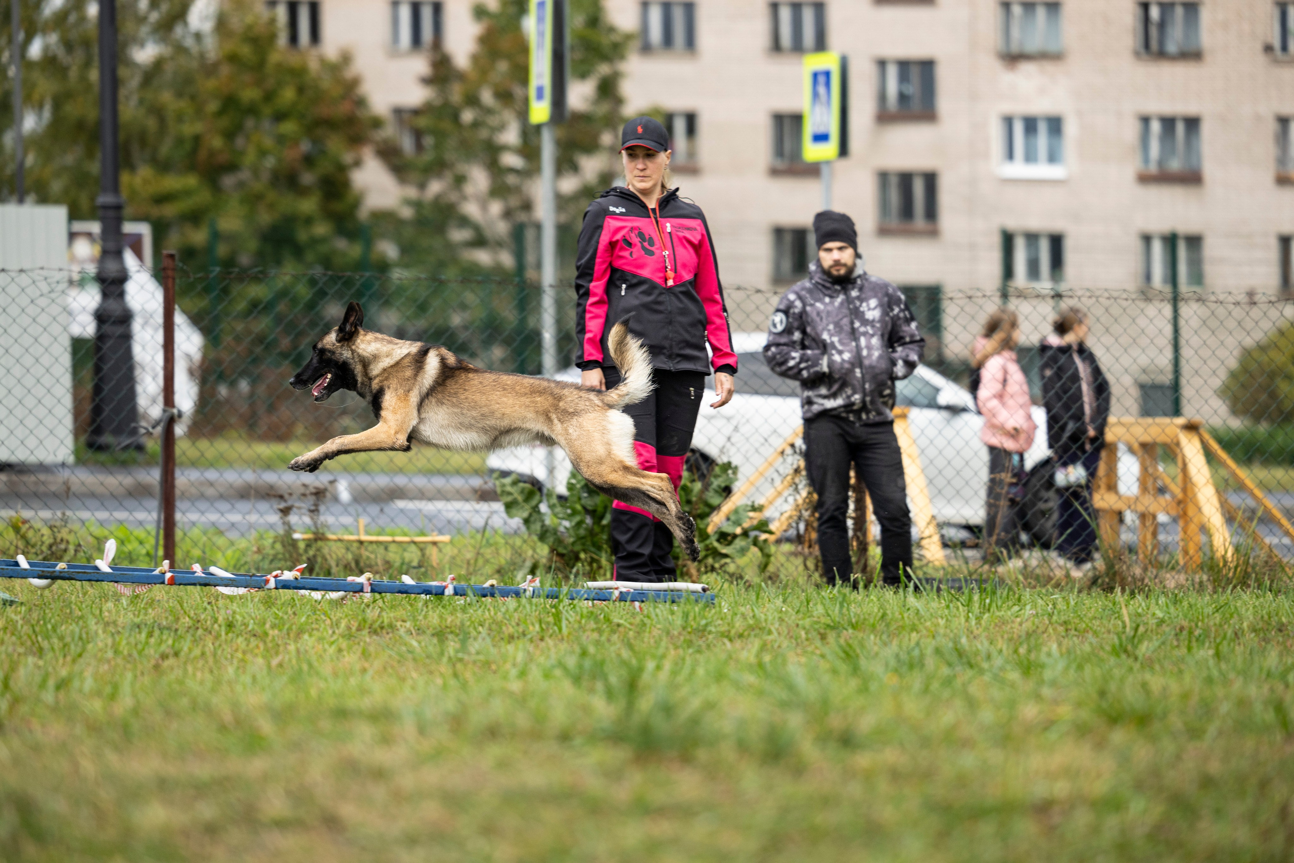 Испытания по Мондьорингу г. Пушкин. Фотограф-анималист Анна Маринич
