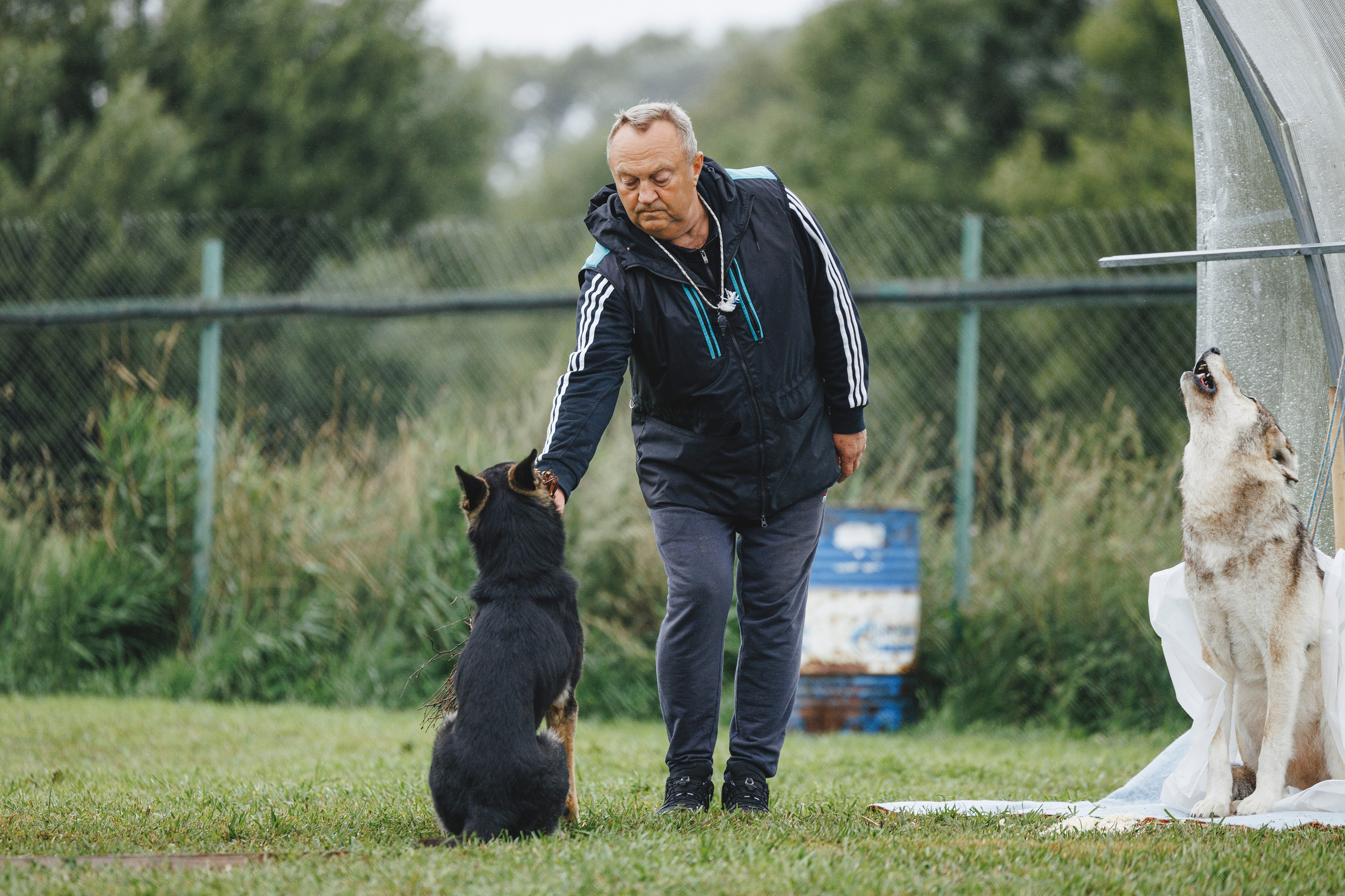 08.08.25-10.08.25 ЧР по мондьорингу г. Вологда. Фотограф-анималист Анна Маринич