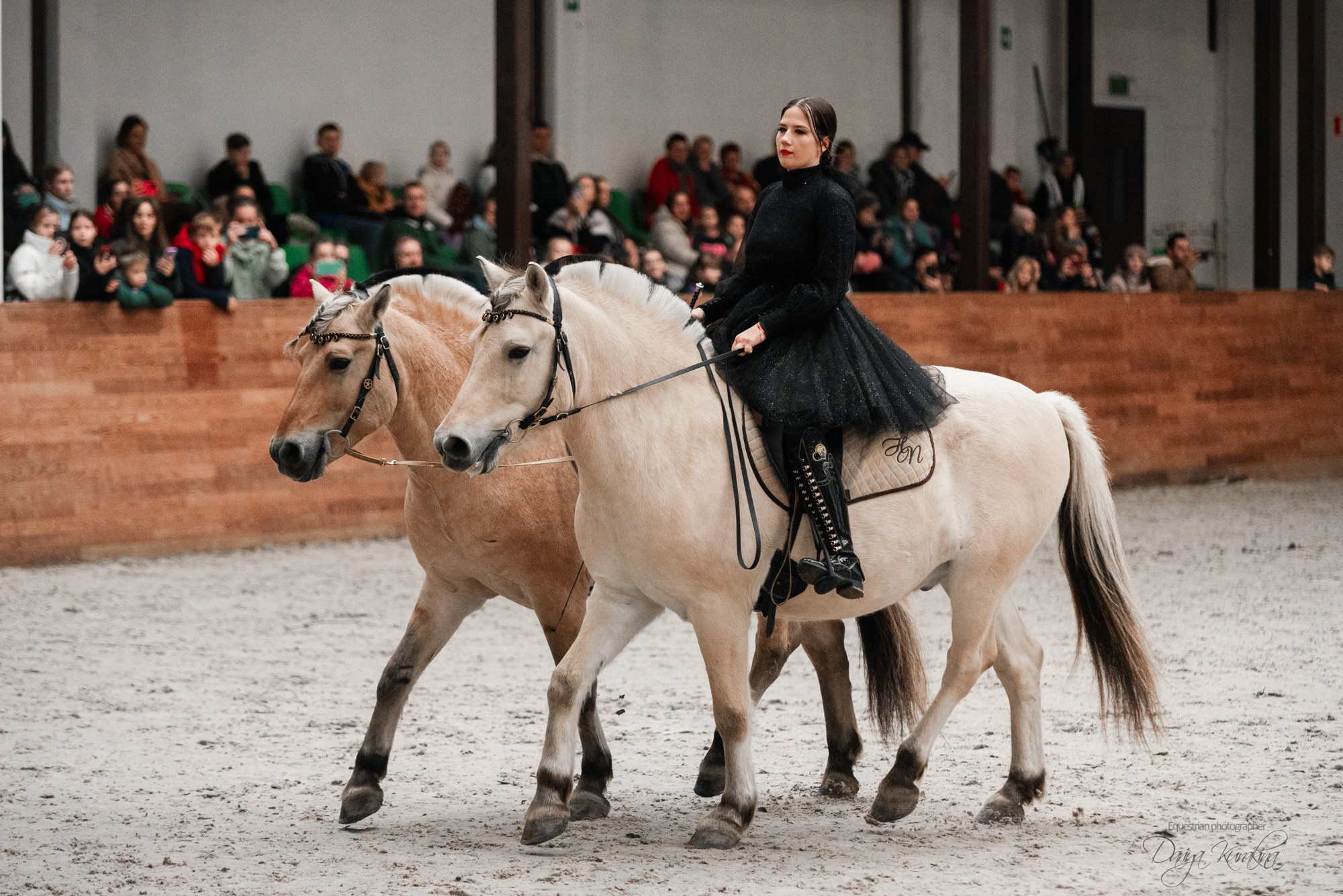 8-я международная выставка Конная Россия. Конный фотограф Куракина Дарья • Фотосессии с лошадьми
