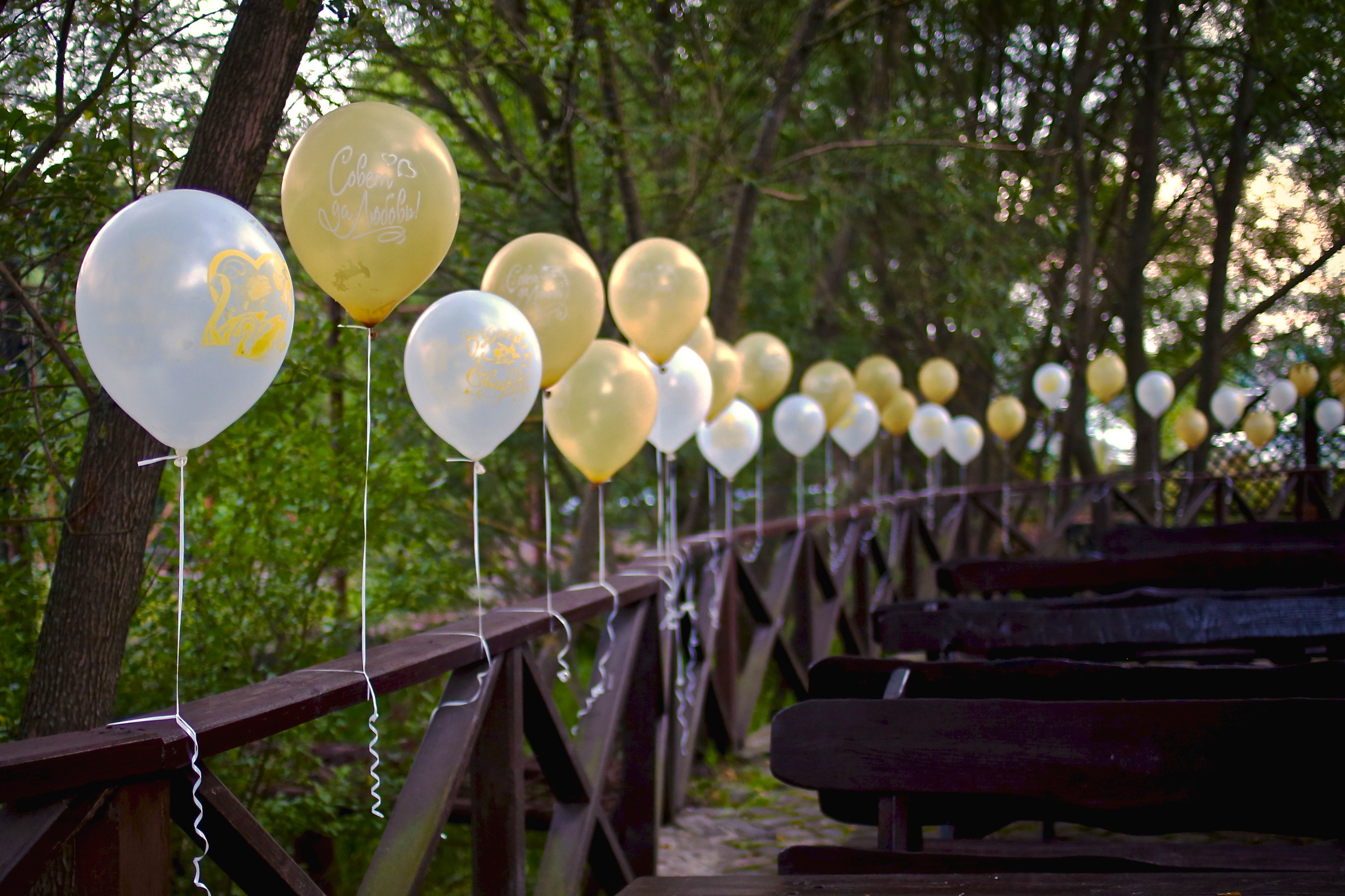 02 08 20. Свадебный и семейный фотограф-Королева Натали/Раменское-Жуковский-Москва/тел.+7 (985) 153-75-43