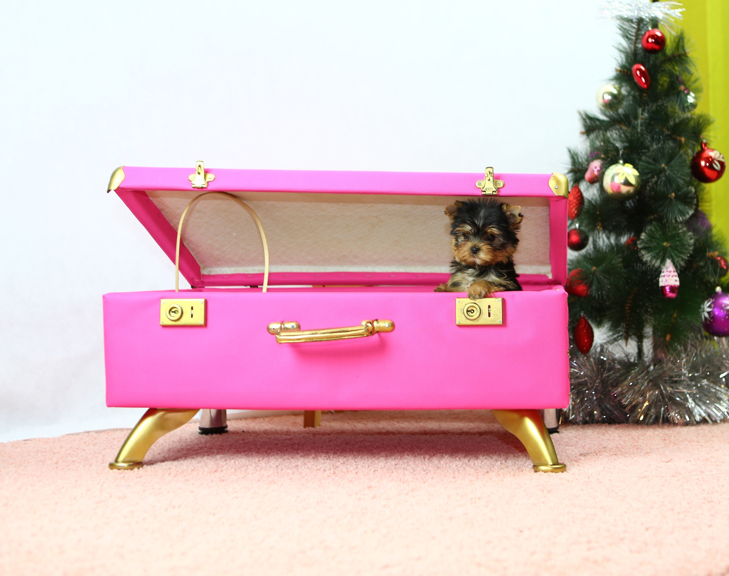 Свадебная фотосессия в Раменском недорого. Свадебный и семейный фотограф-Королева Натали/Раменское-Жуковский-Москва/тел.+7 (985) 153-75-43