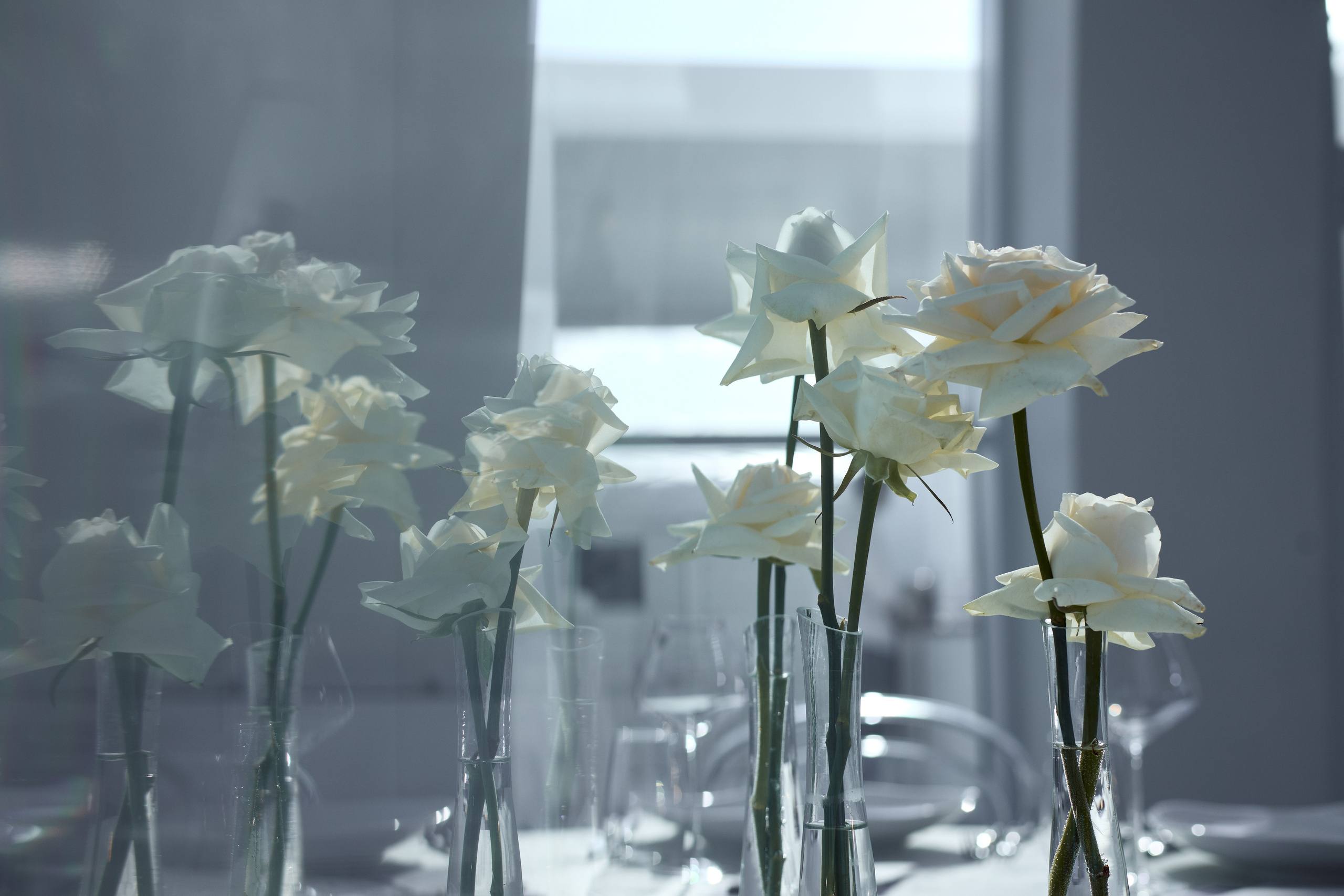 Александр и Карина. Свадебный и портретный фотограф в Воронеже Алёна Коренцова