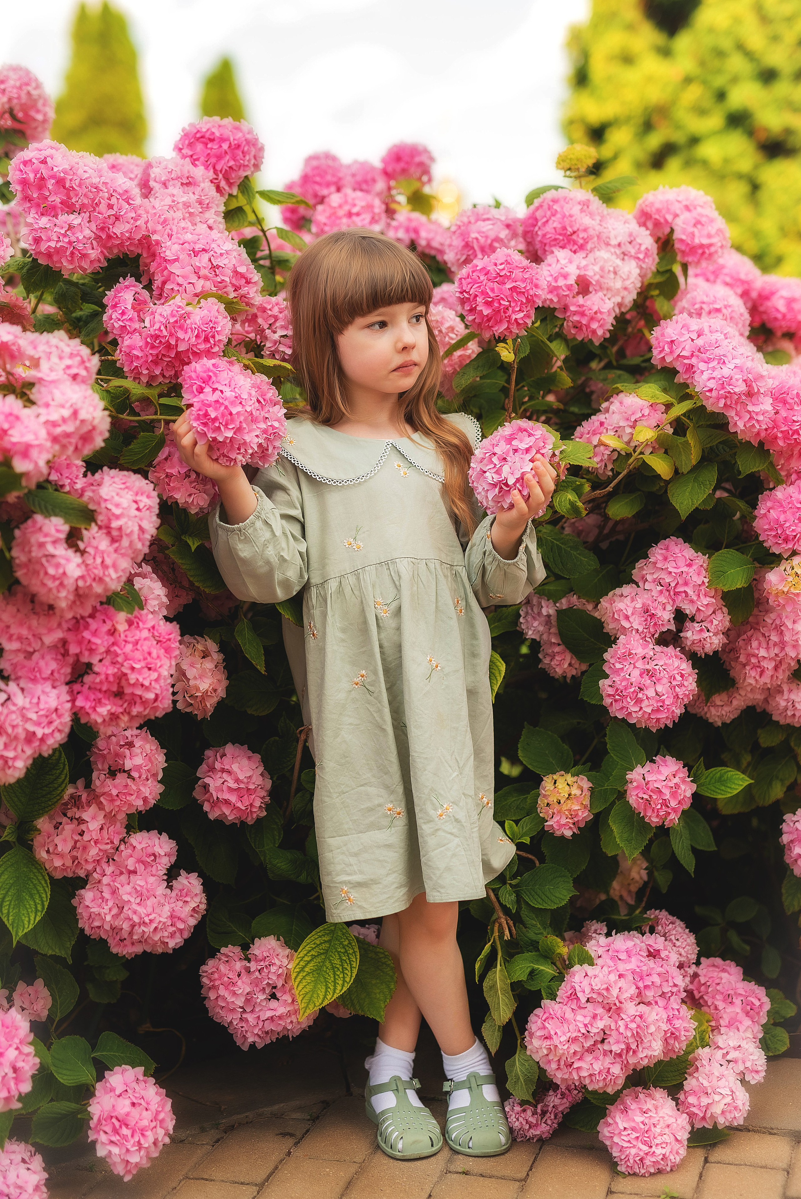 Портретная фотосессия в гортензиях. Семейный, детский фотограф в Воронеже Анна Никитина