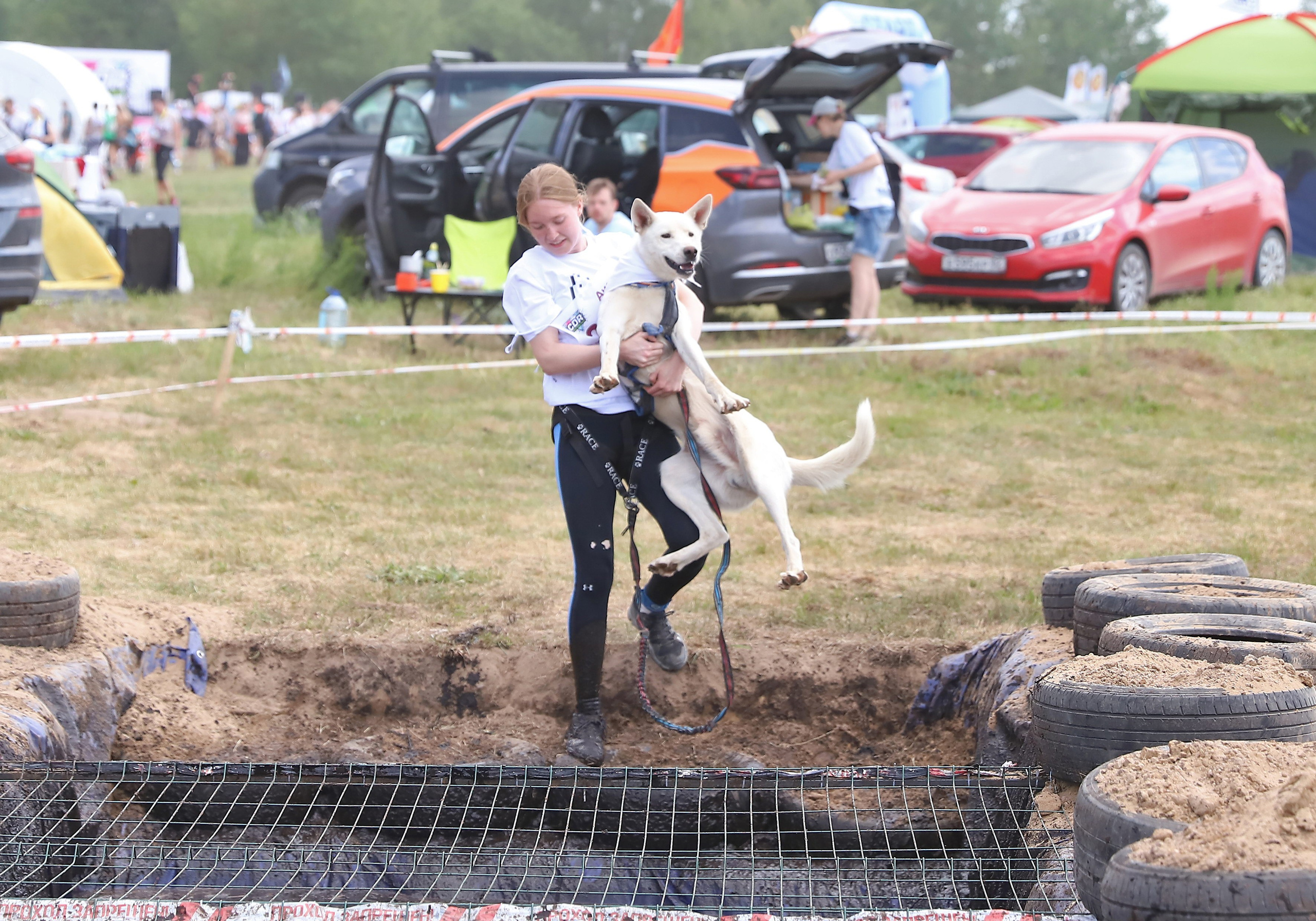 Хвостатый драйв. Семейный и детский фотограф в Москве и МО Елена Москвичева