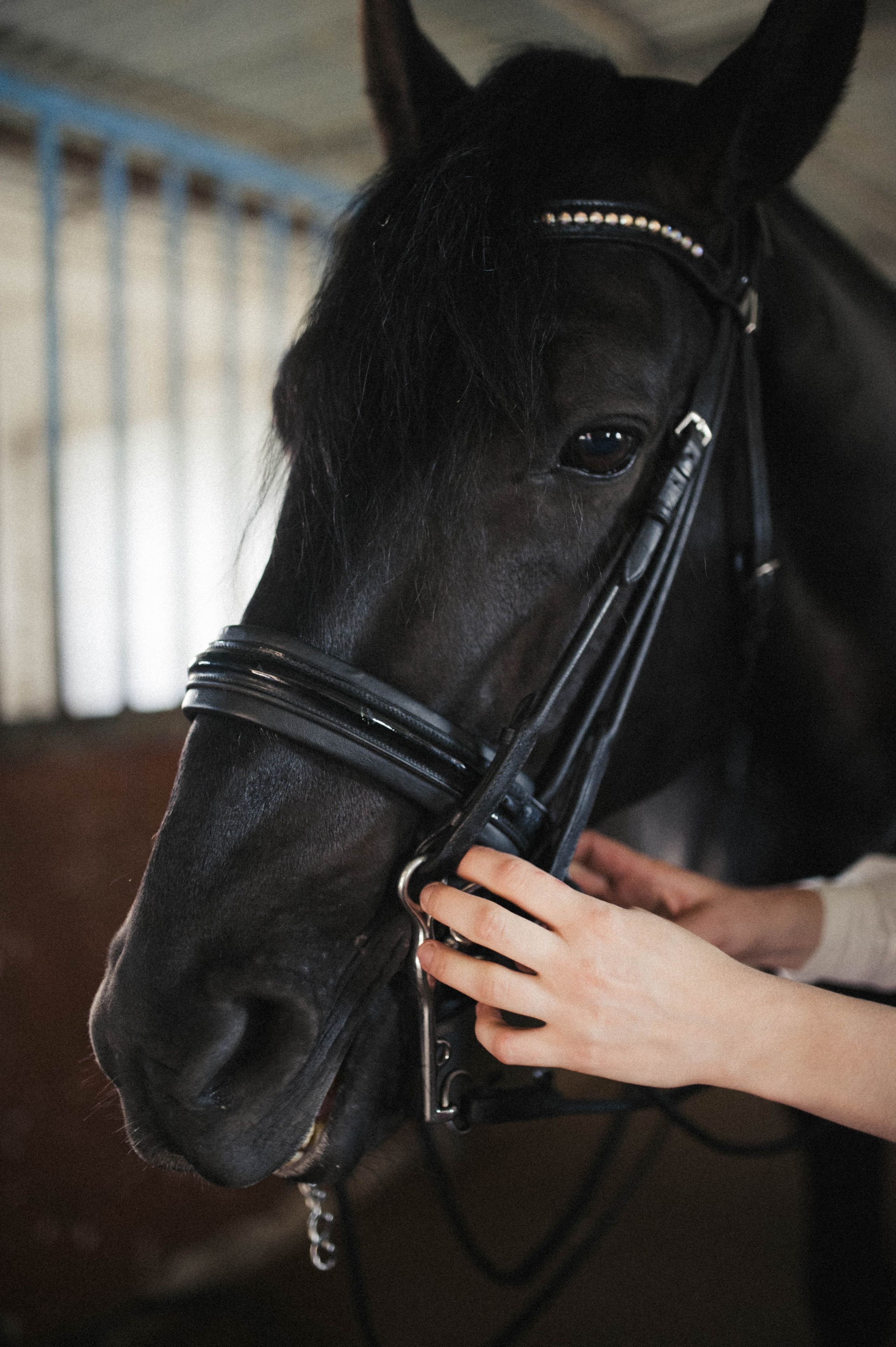 Бэлла и Анко. Свадьбы