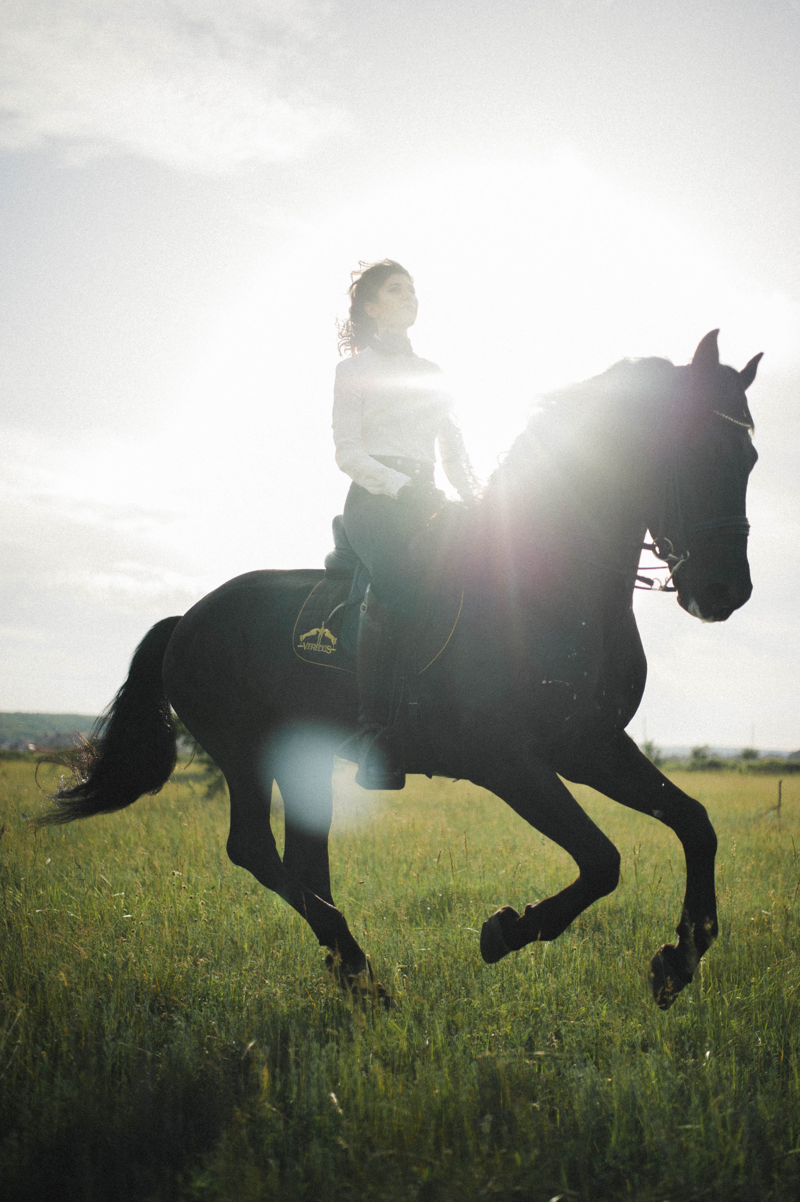 Бэлла и Анко. Свадьбы