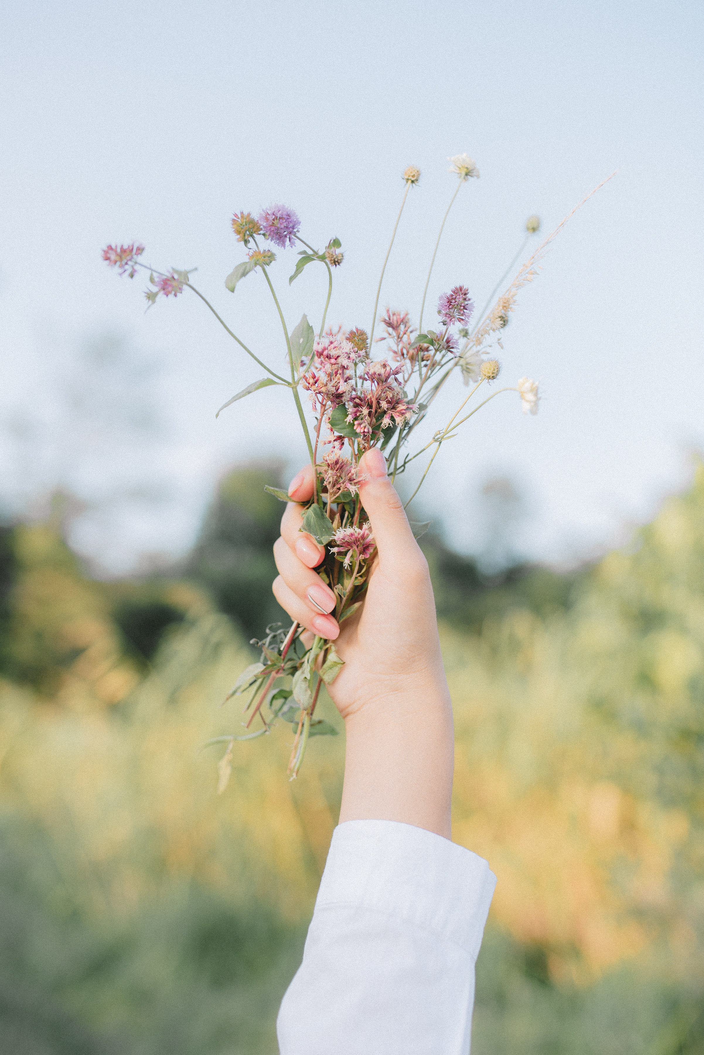 Зуля. Свадьбы