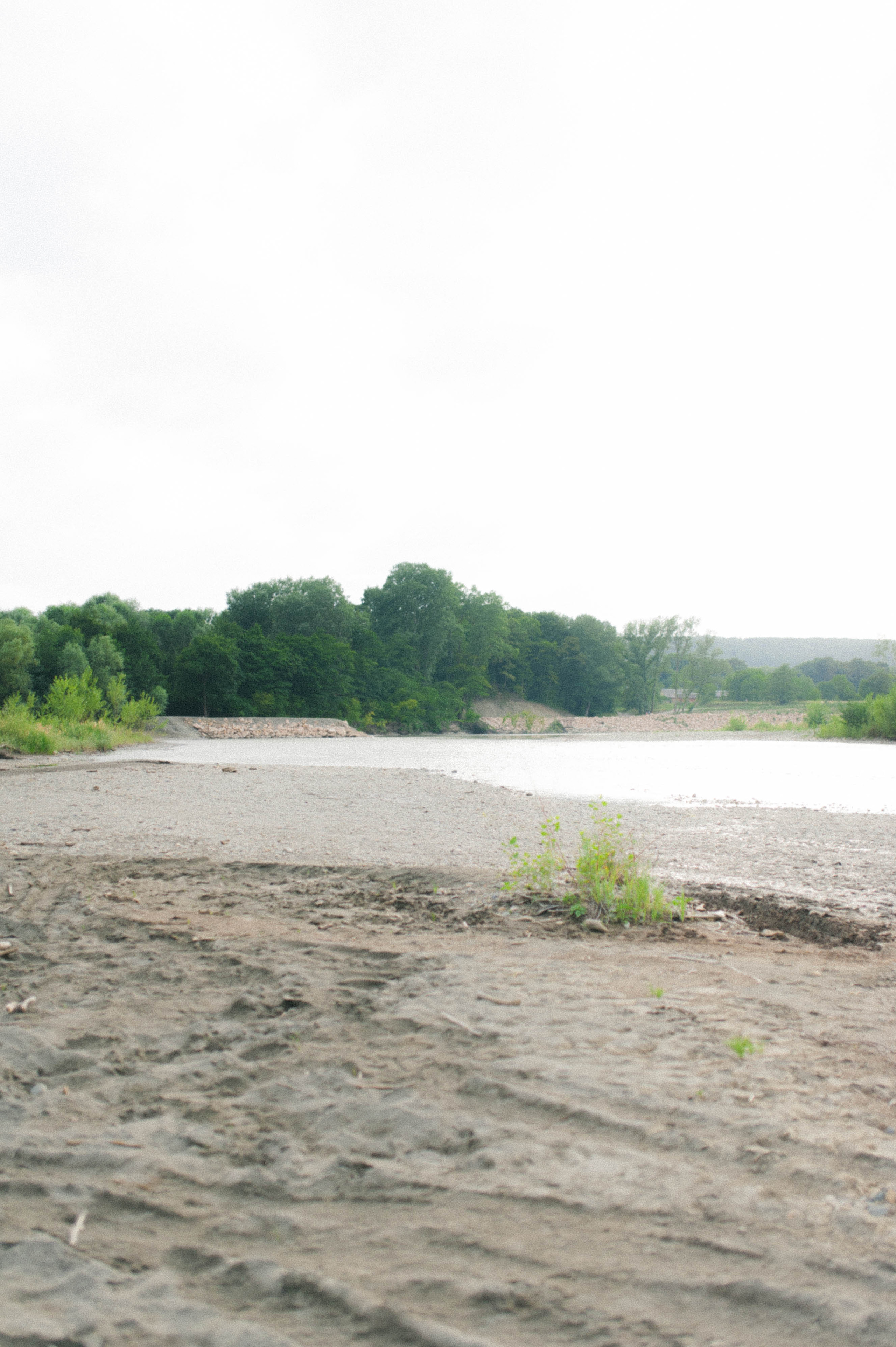 Дарья и Владимир. Свадьбы