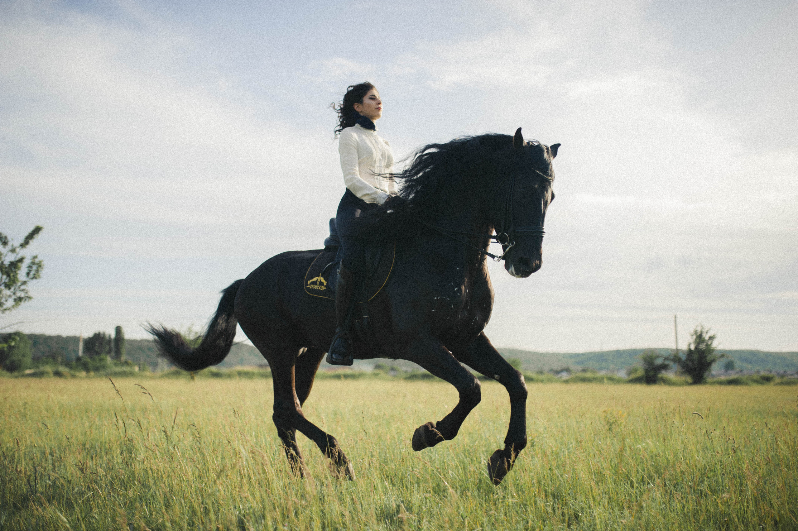 Бэлла и Анко. Свадьбы