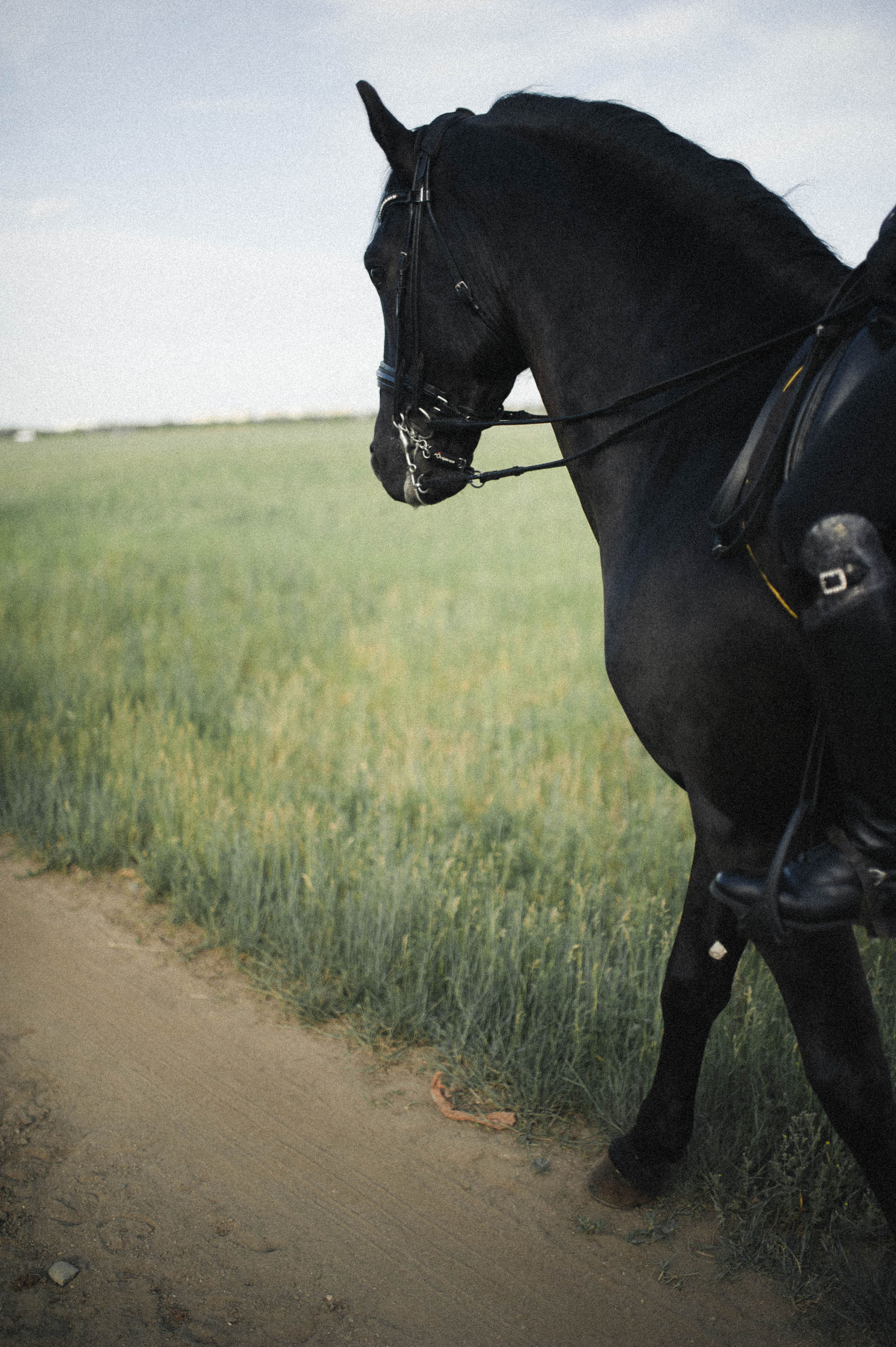 Бэлла и Анко. Свадьбы