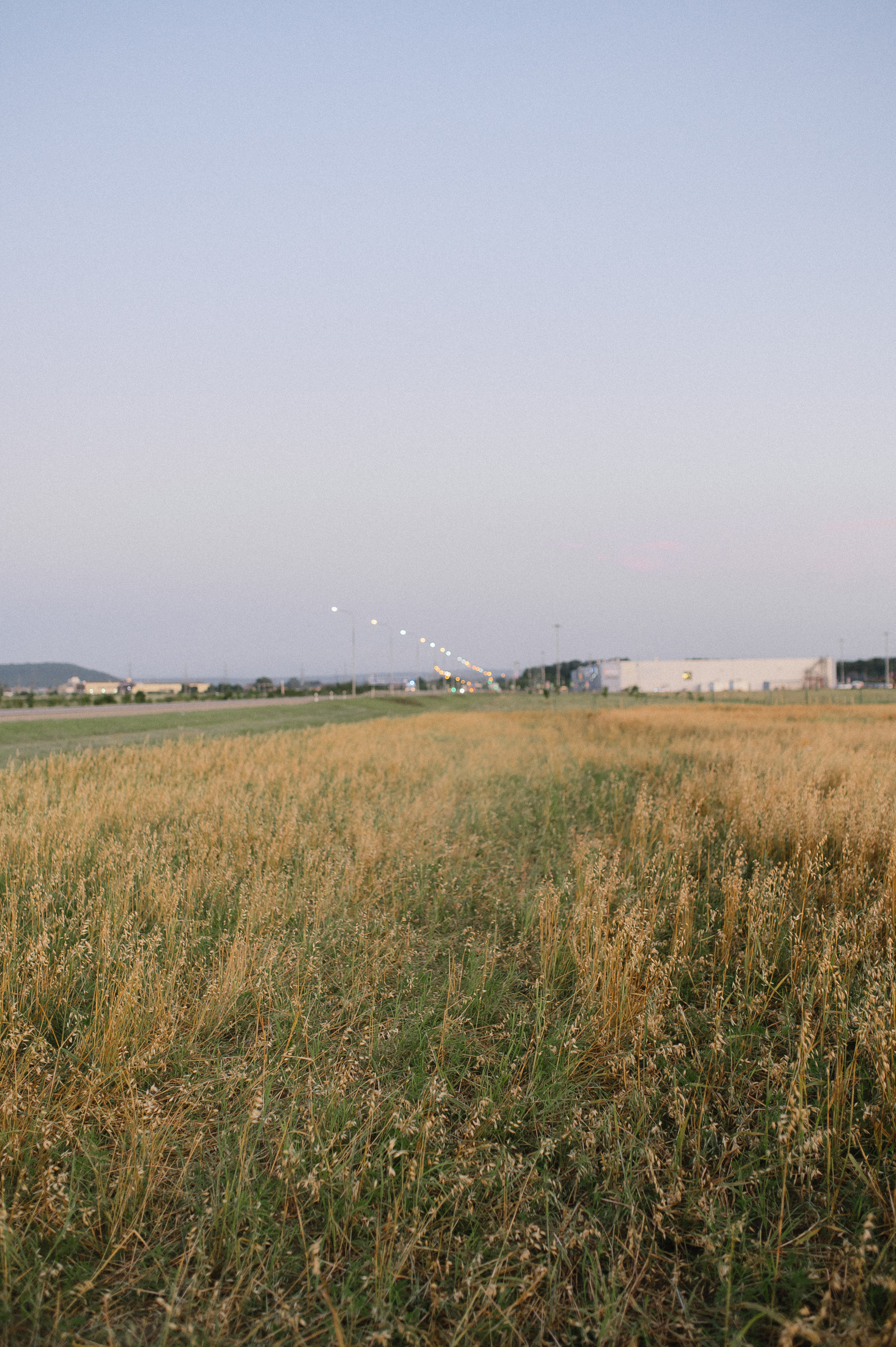 Виктория и Дмитрий. Свадьбы