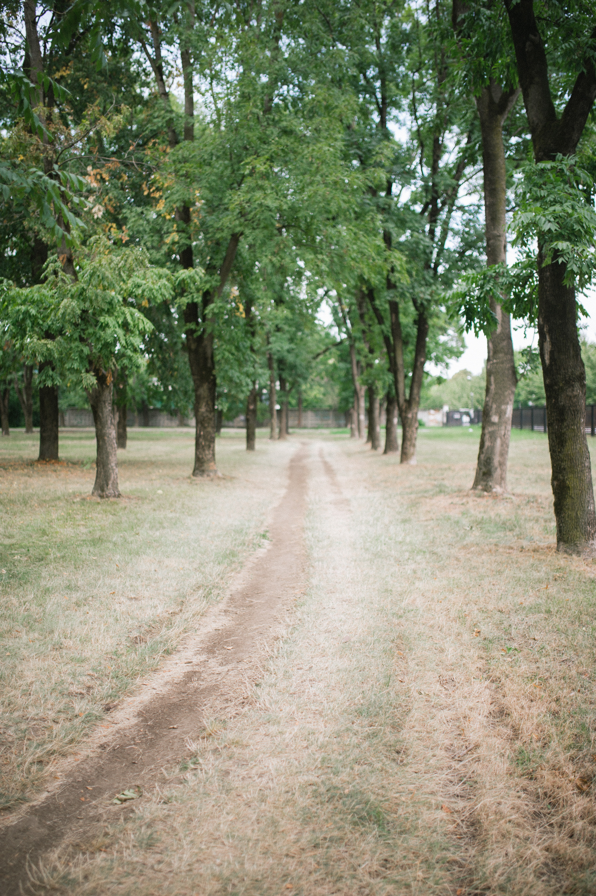 Ксюша и Максим. Свадьбы