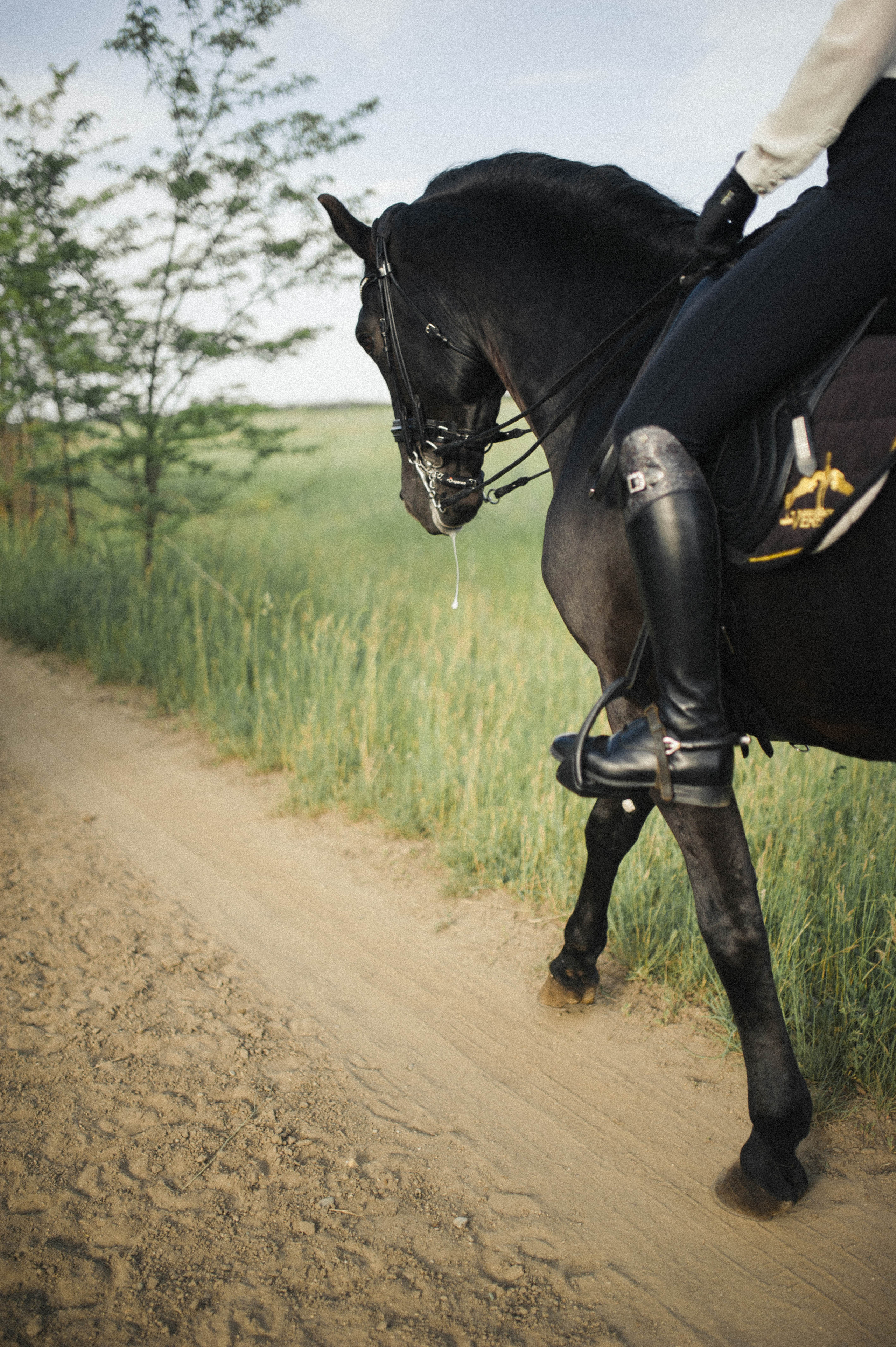 Бэлла и Анко. Свадьбы