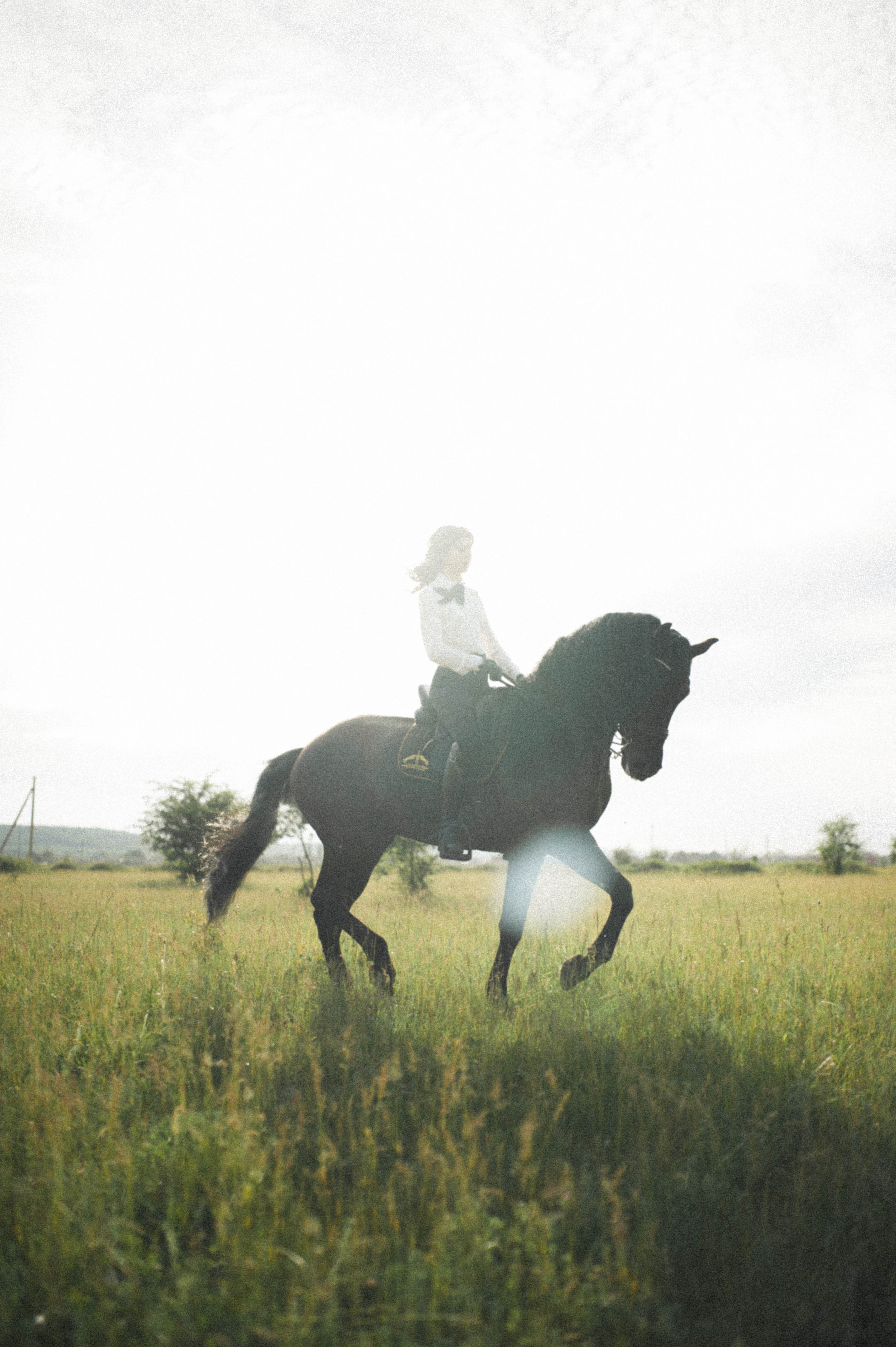 Бэлла и Анко. Свадьбы