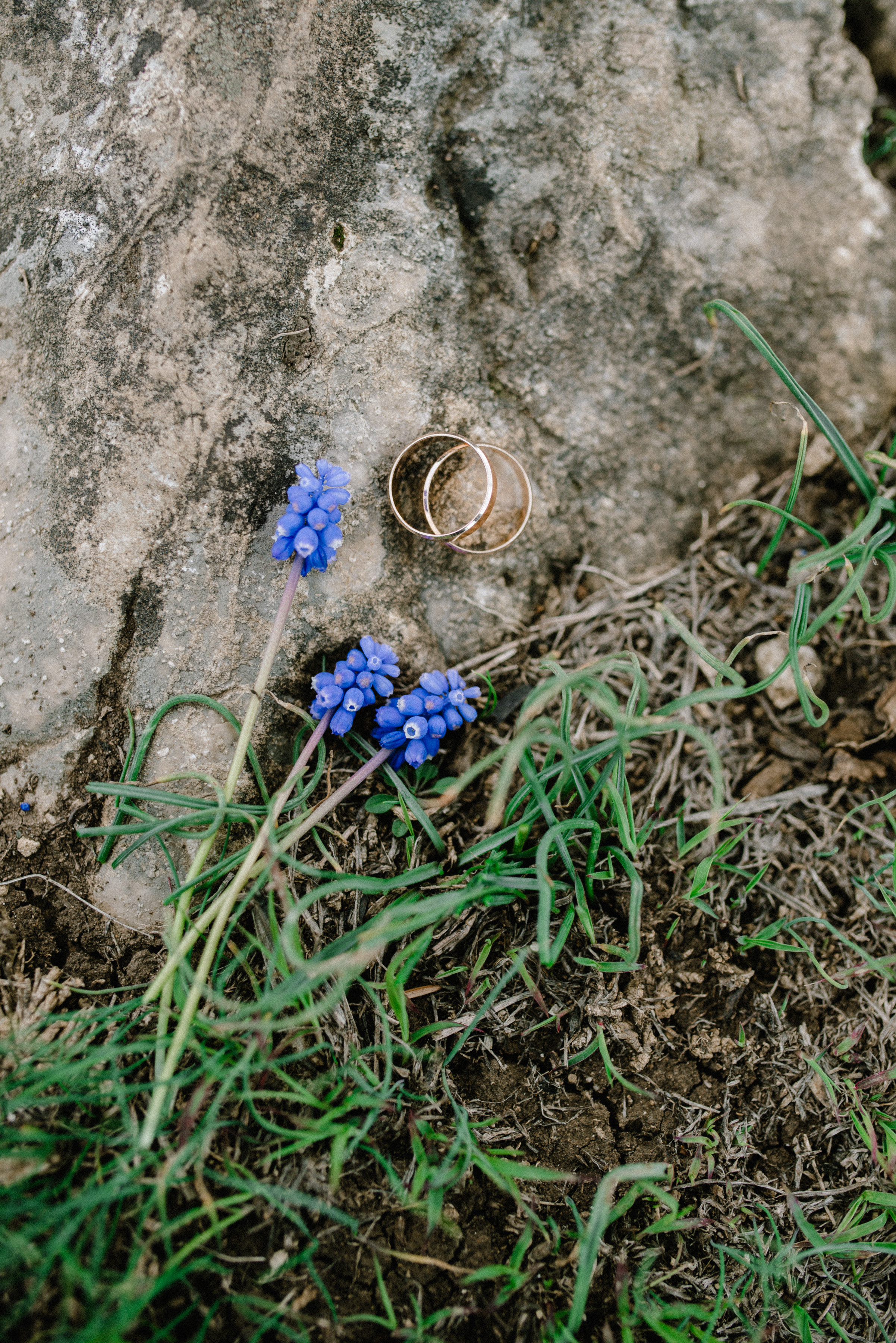 Елена и Алексей. Свадьбы