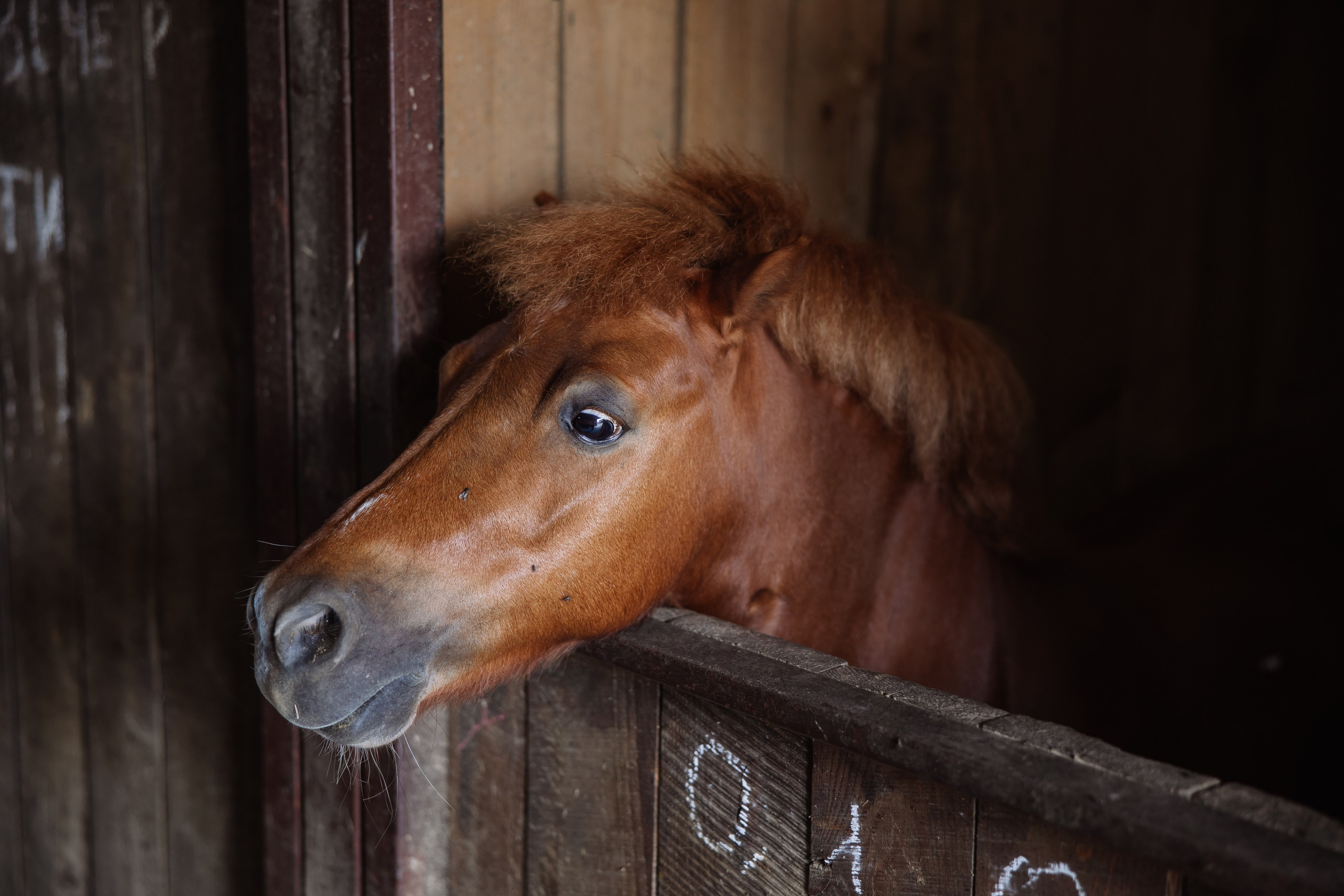 Фотограф в Краснодаре
