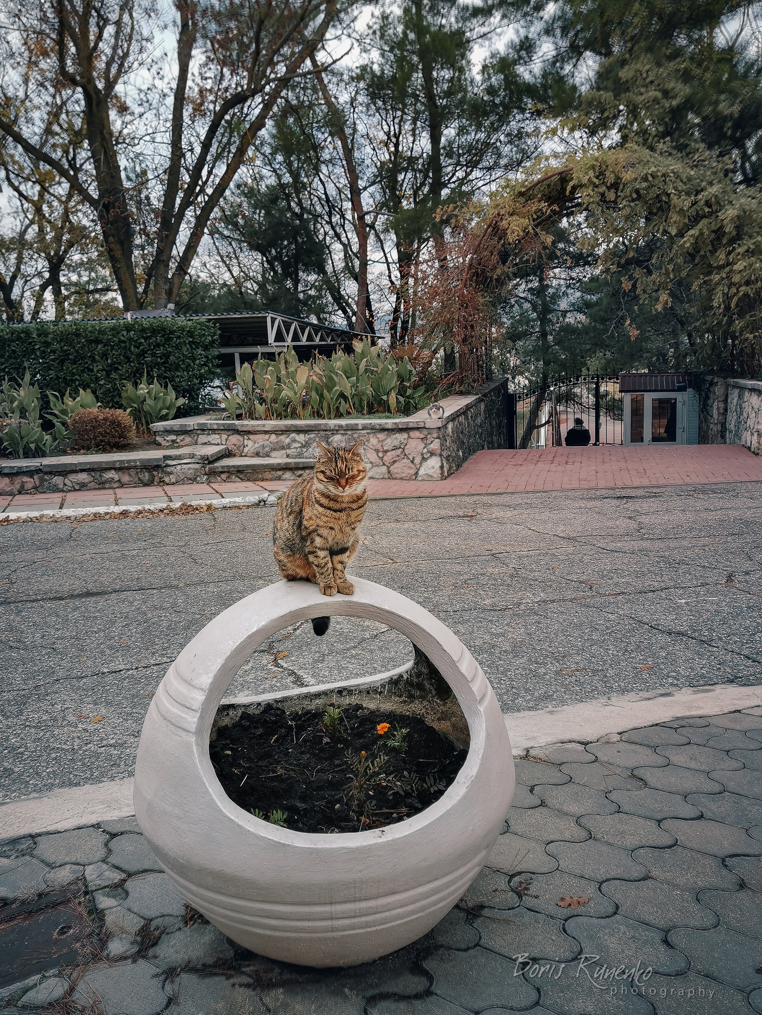 ЧЕРНОМОРСКОЕ ПОБЕРЕЖЬЕ. ОСЕНЬ. Борис Руненко. Пейзажный и travel-фотограф