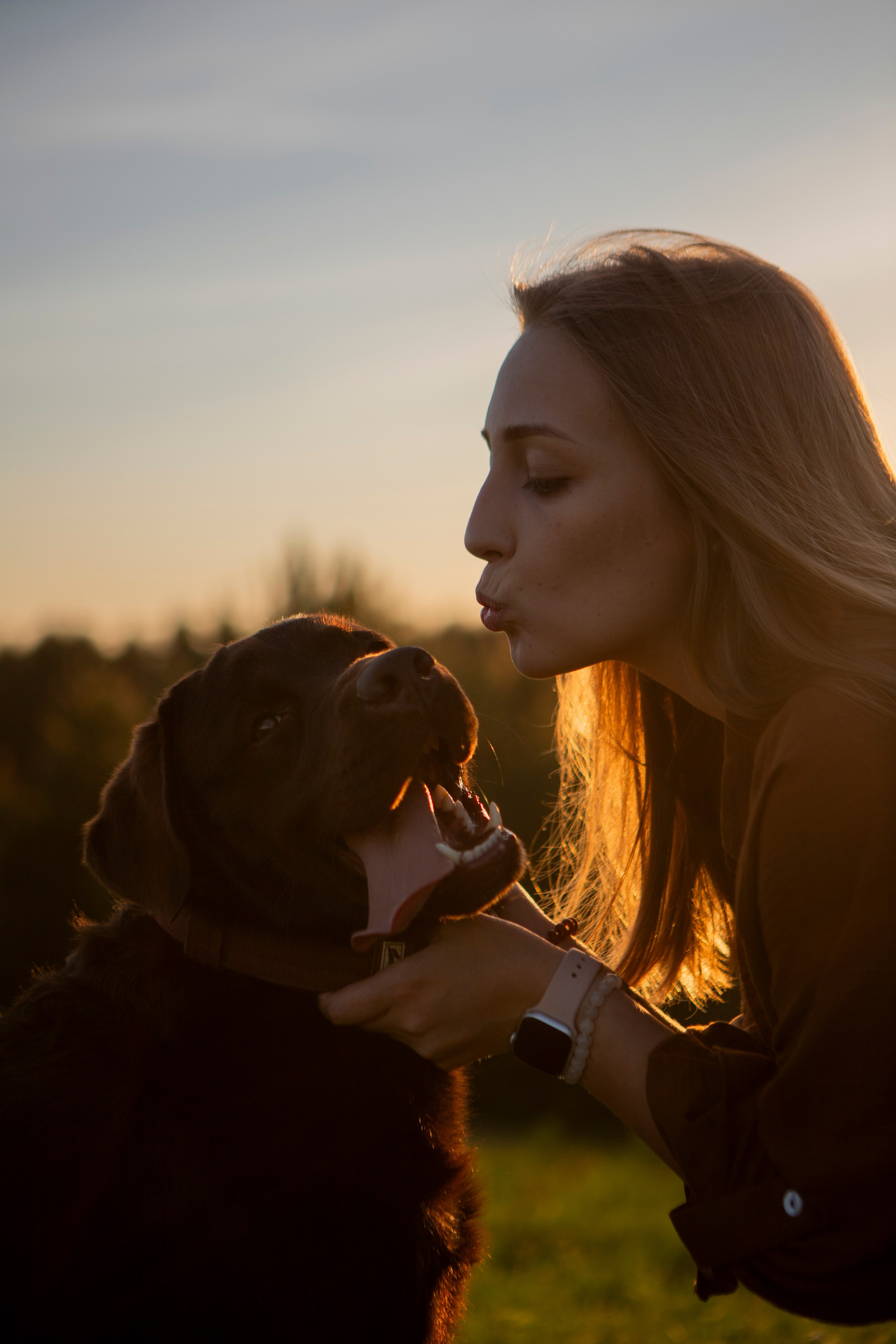 Закатная. Фотограф-анималист в Санкт-Петербурге Алина Яхонт