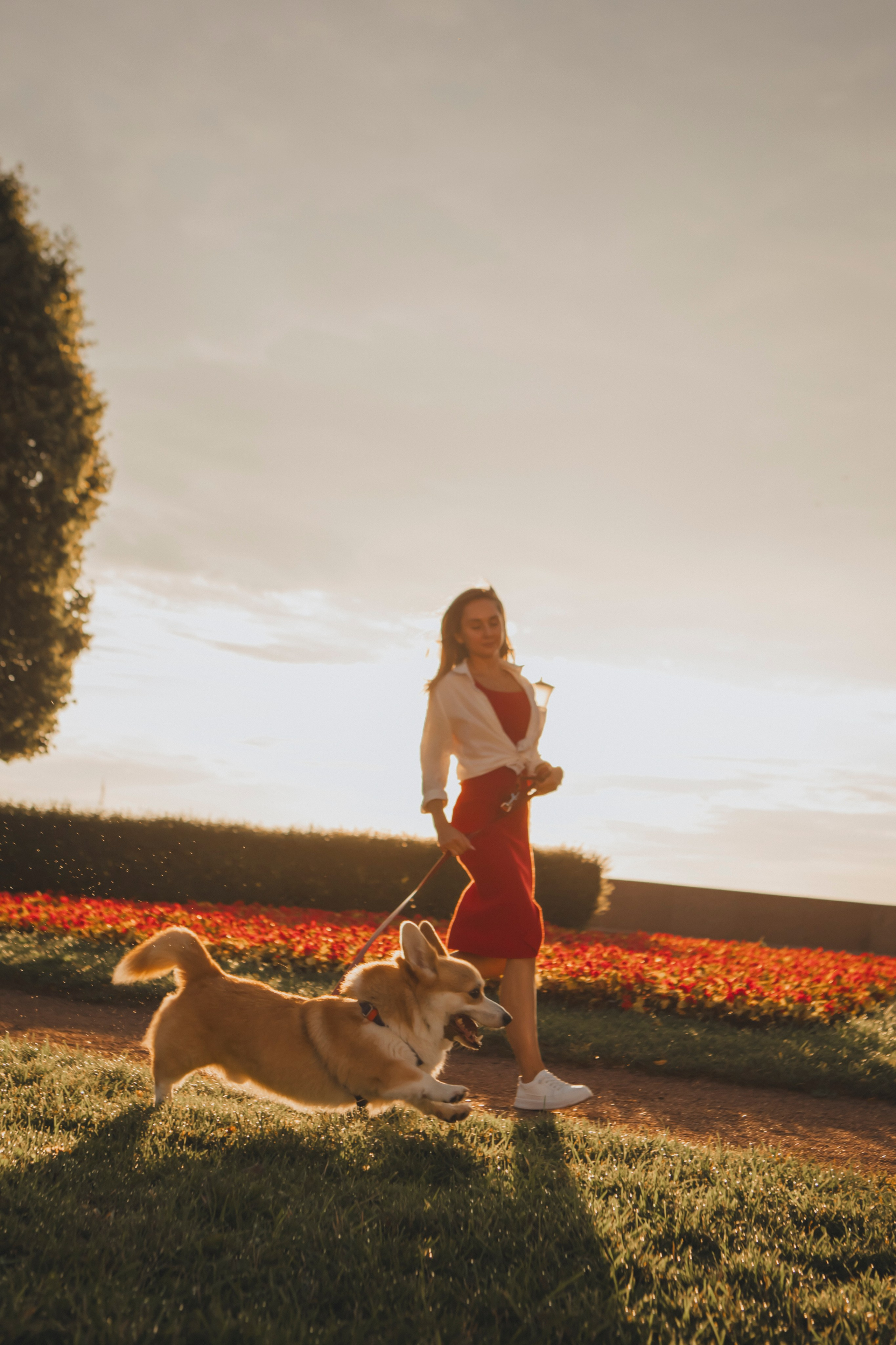 Настя и Стёпа. Фотограф-анималист в Санкт-Петербурге Алина Яхонт