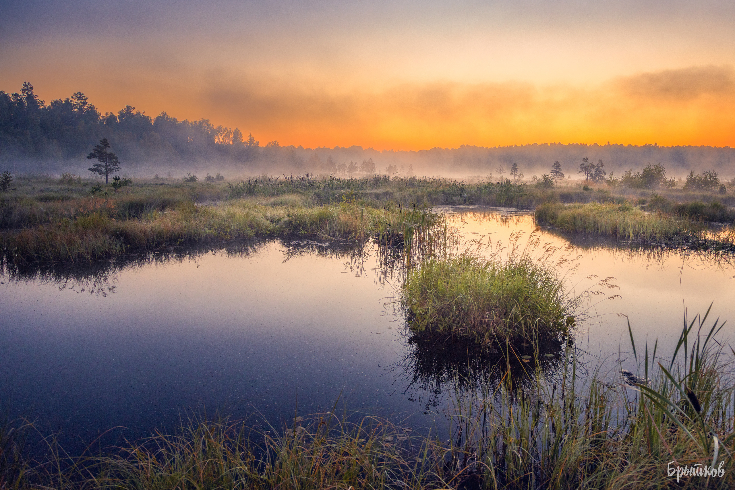 Галкинские болота Брытков Николай