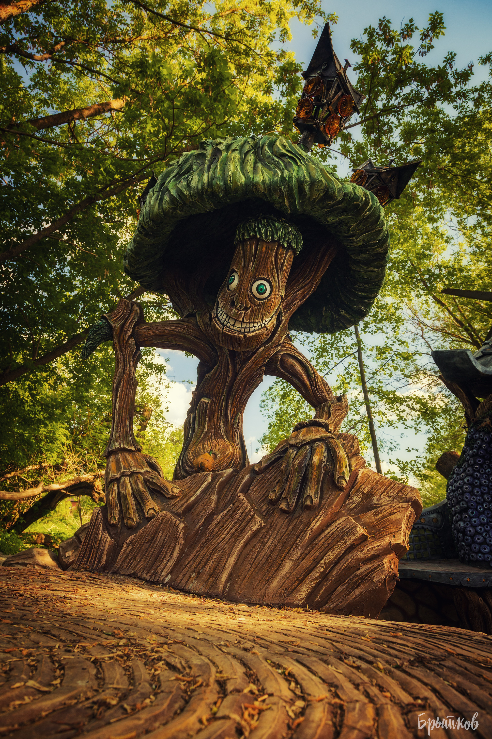 Вихляндия Брытков Николай