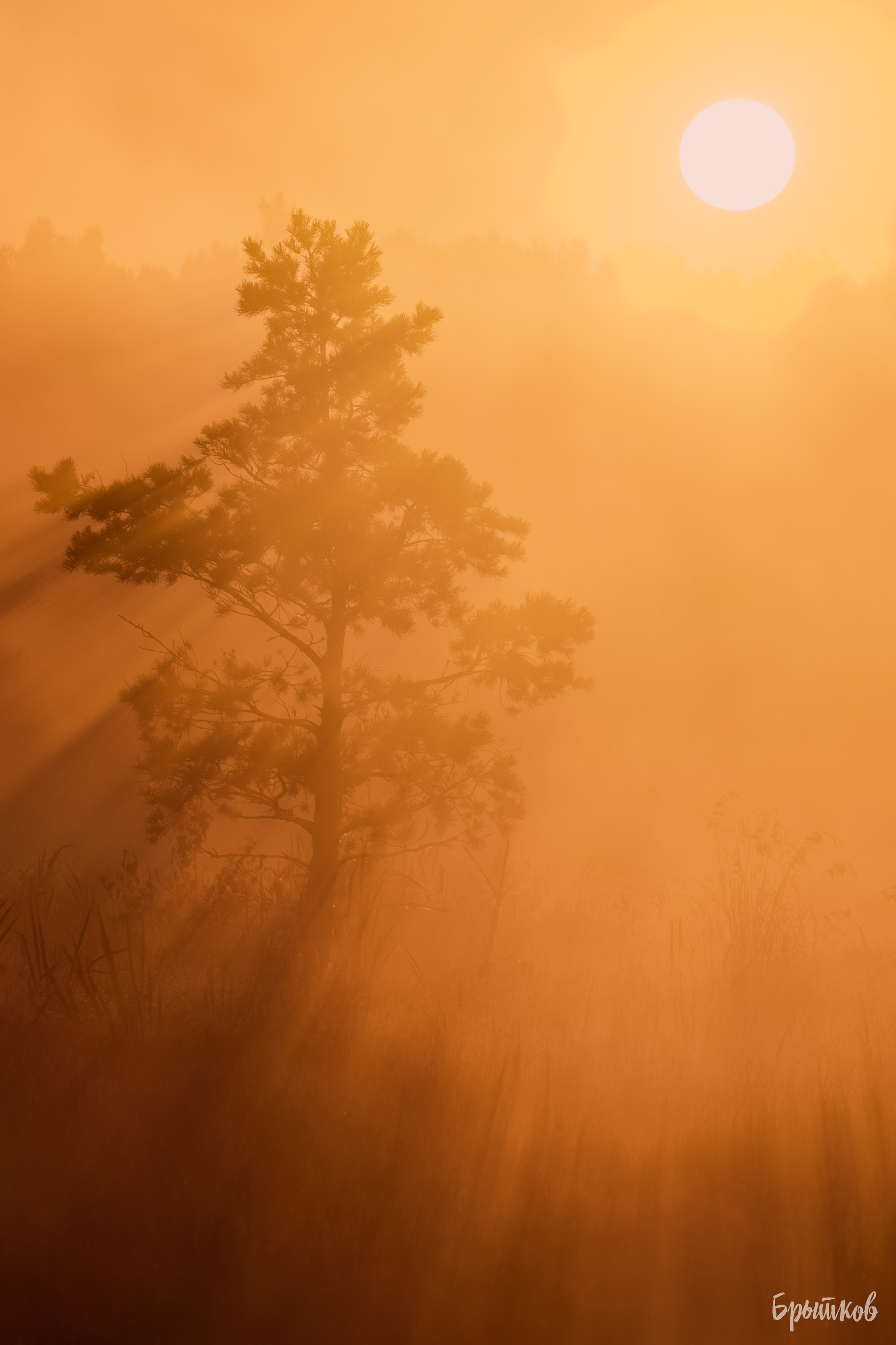 Галкинские болота Брытков Николай