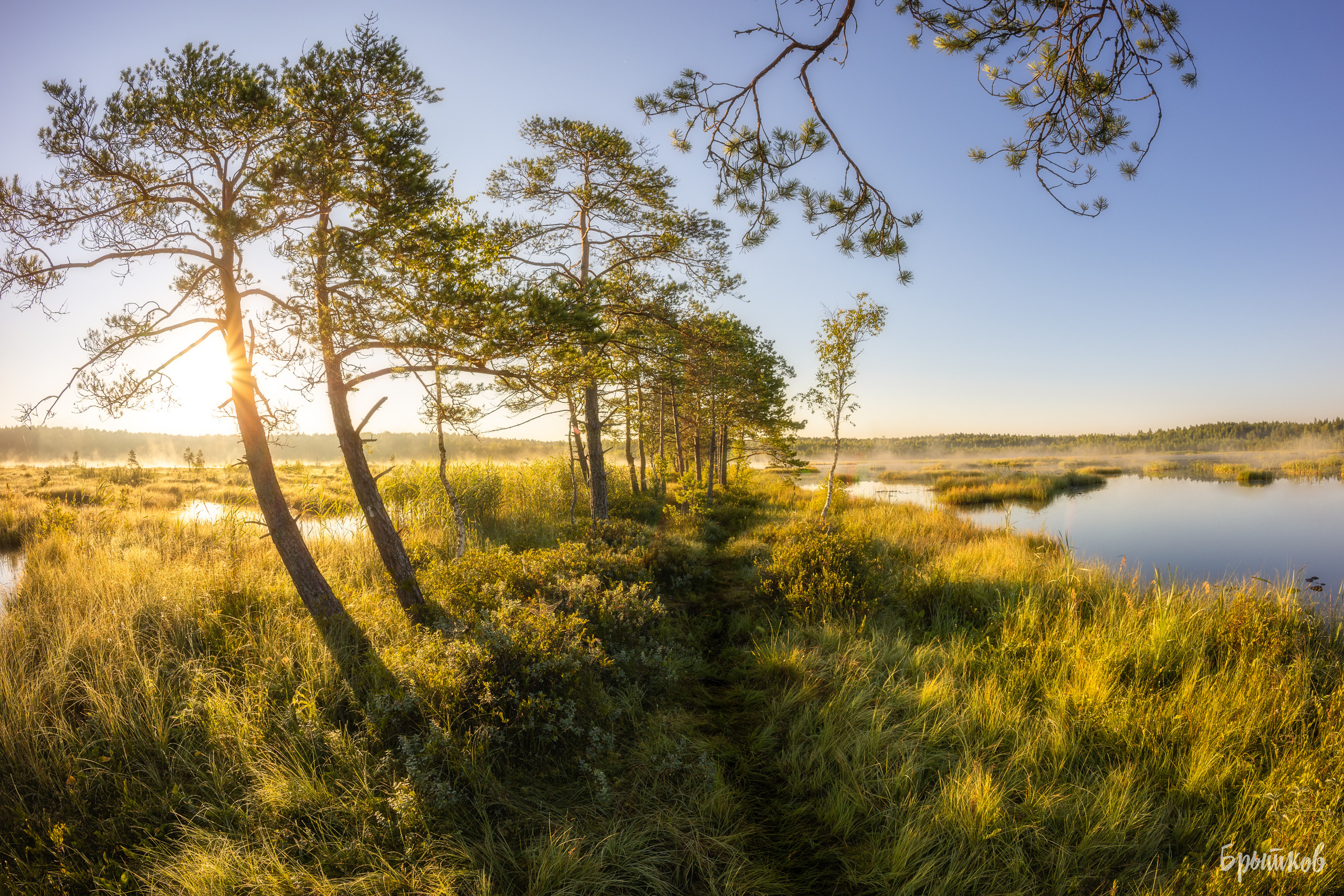 Галкинские болота Брытков Николай