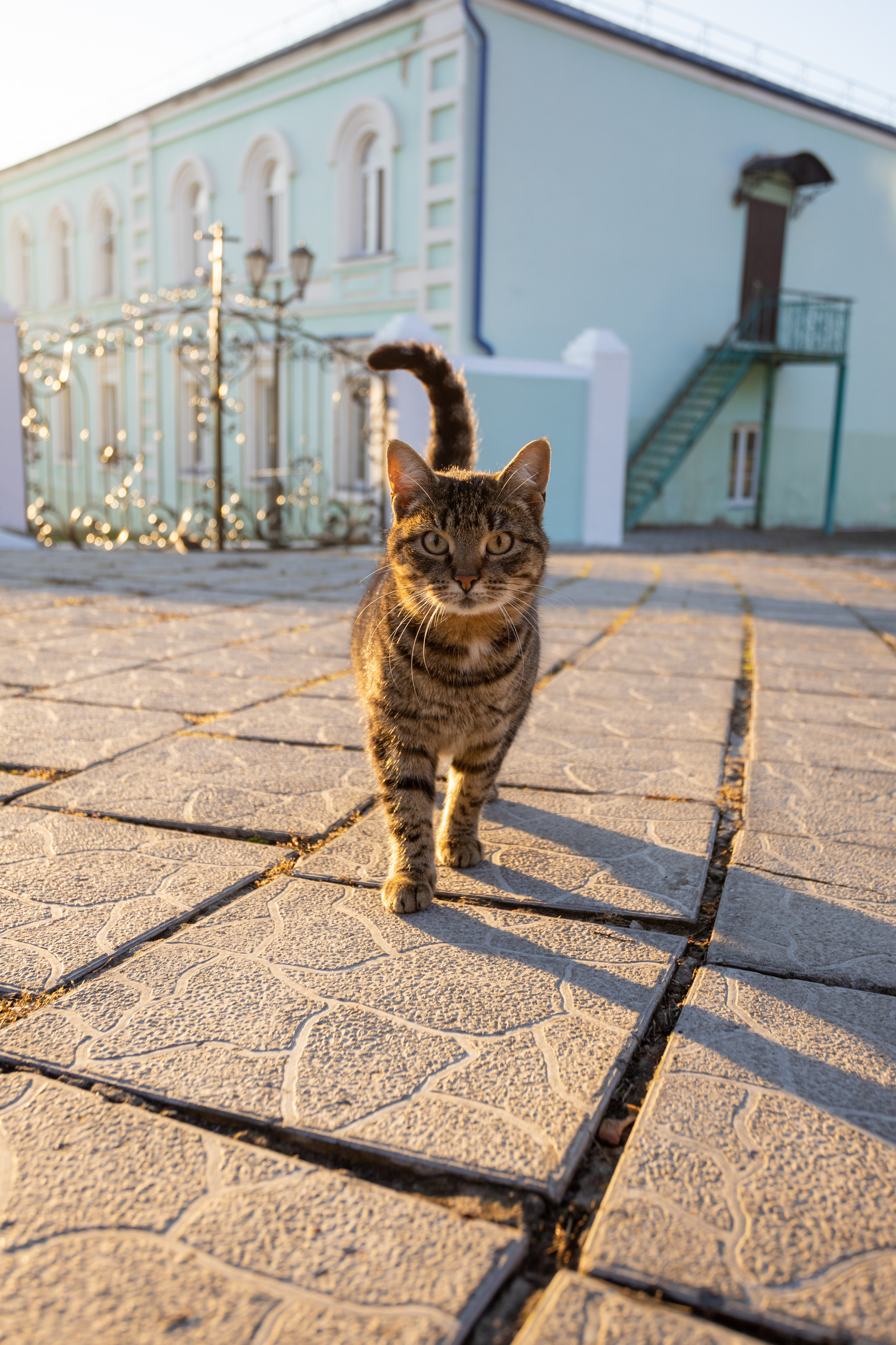 Курская Коренная Рождества Пресвятой Богородицы мужская пустынь