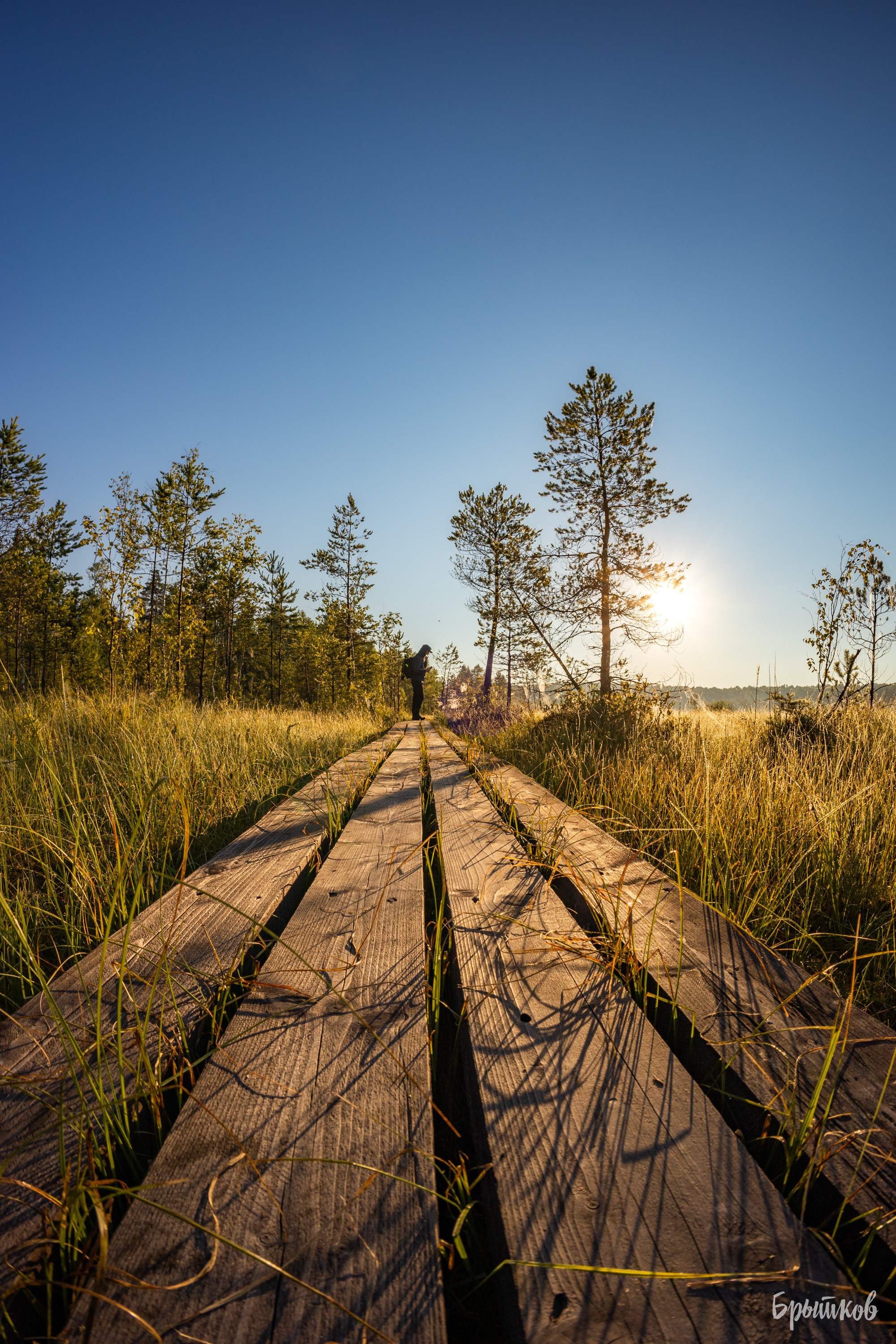 Галкинские болота Брытков Николай