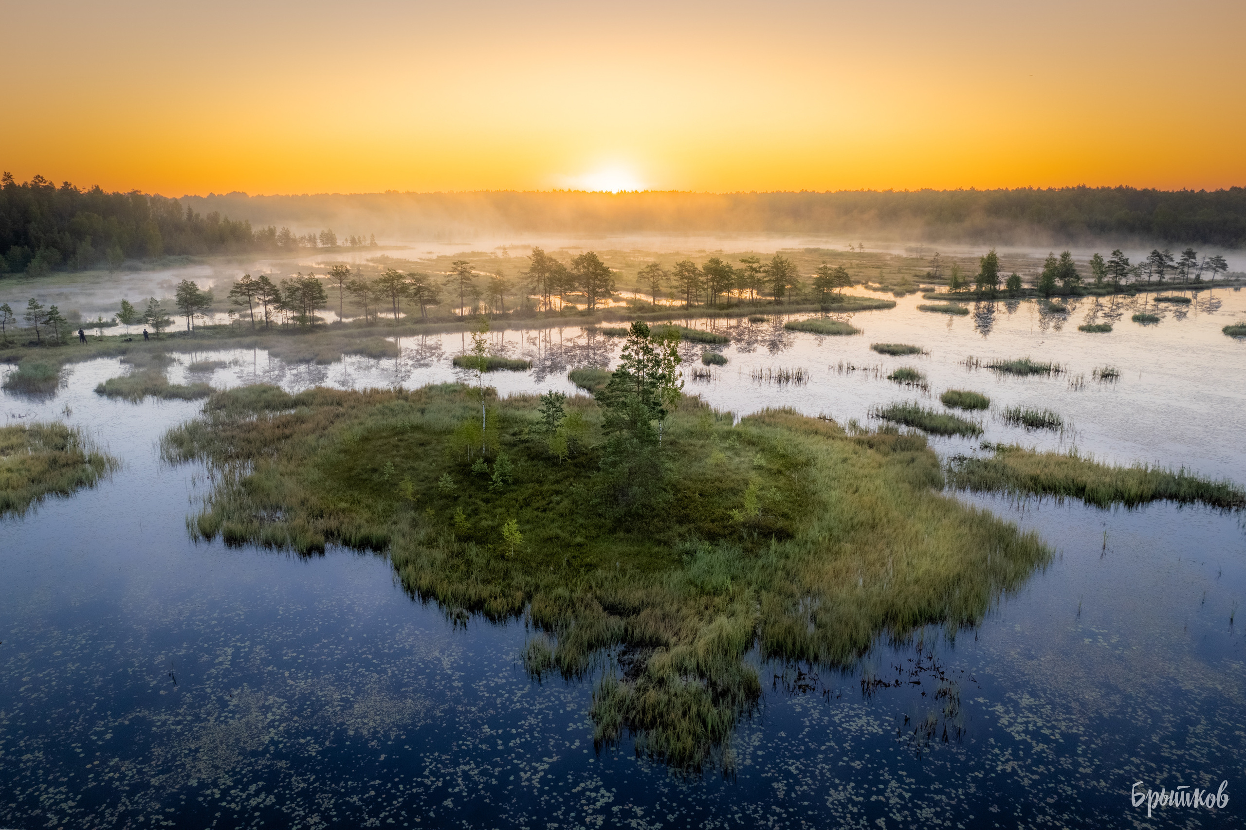 Галкинские болота Брытков Николай